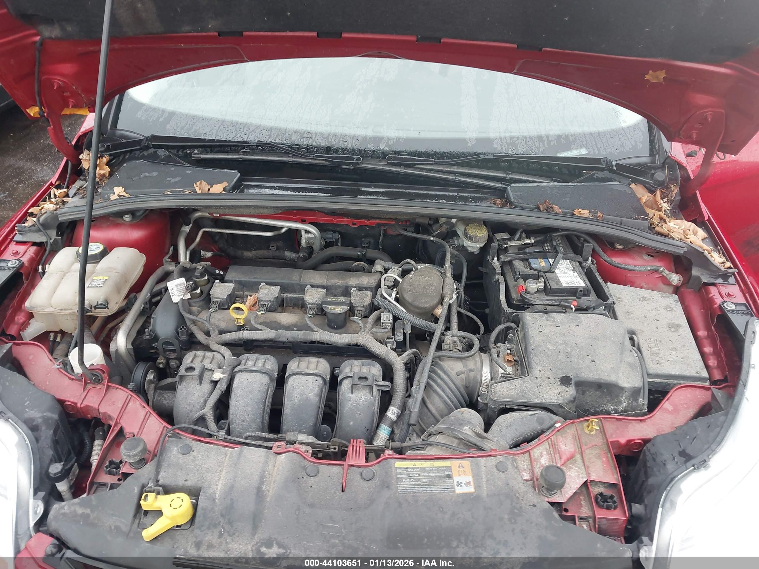 FORD FOCUS image 10