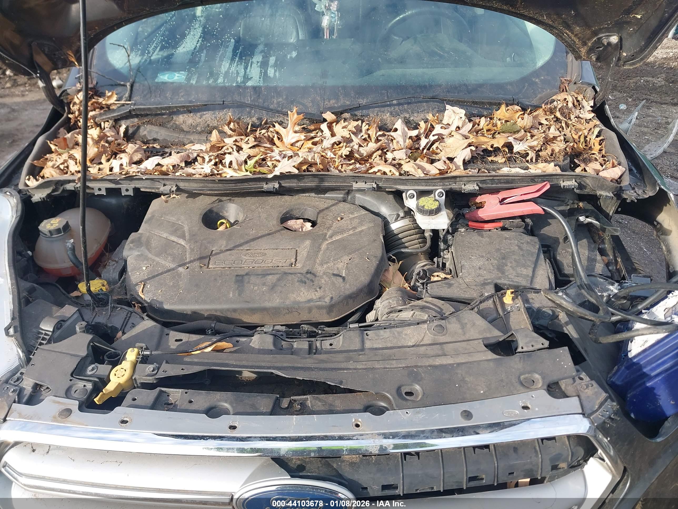 FORD ESCAPE image 10