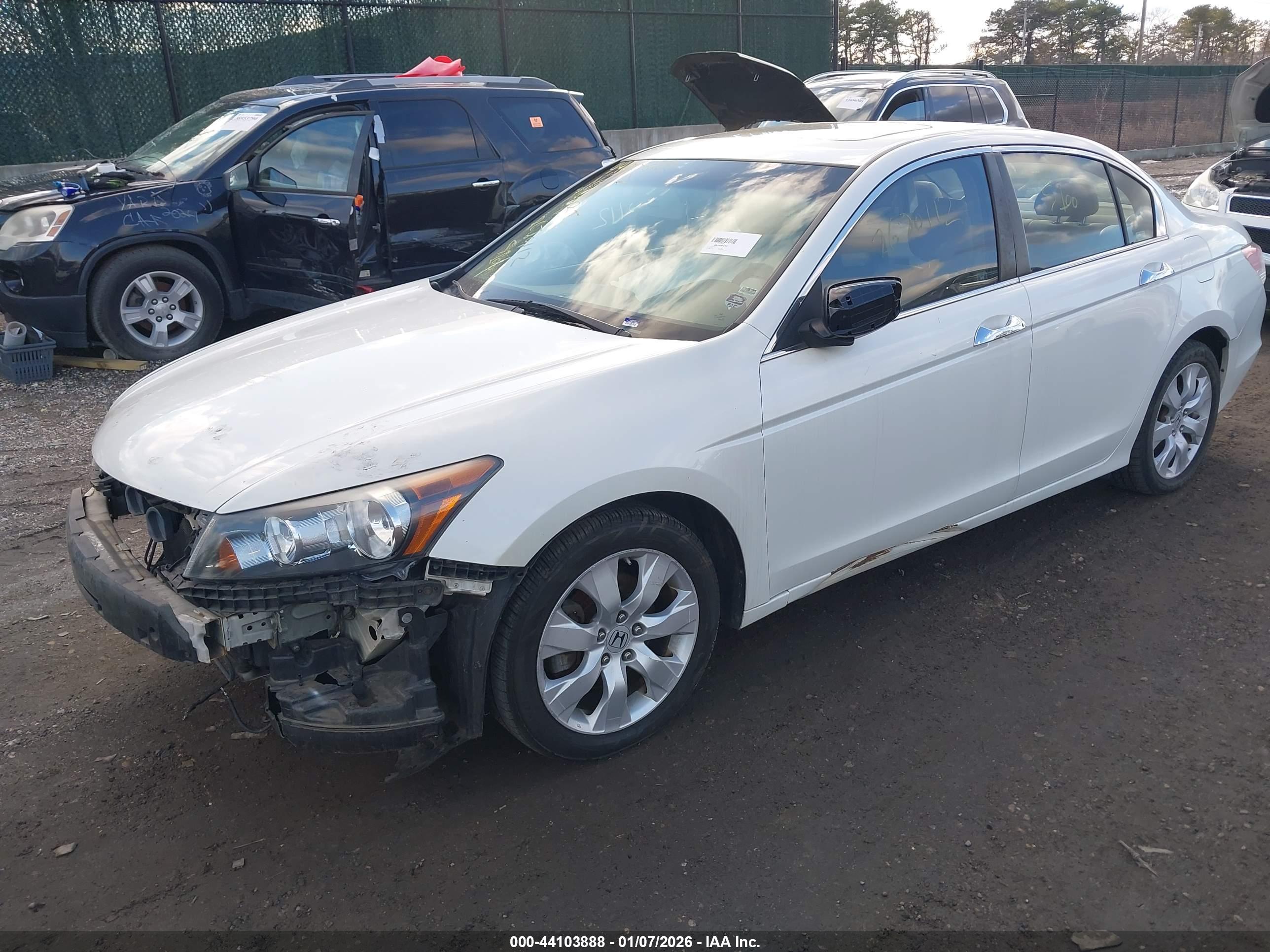 HONDA ACCORD image 2