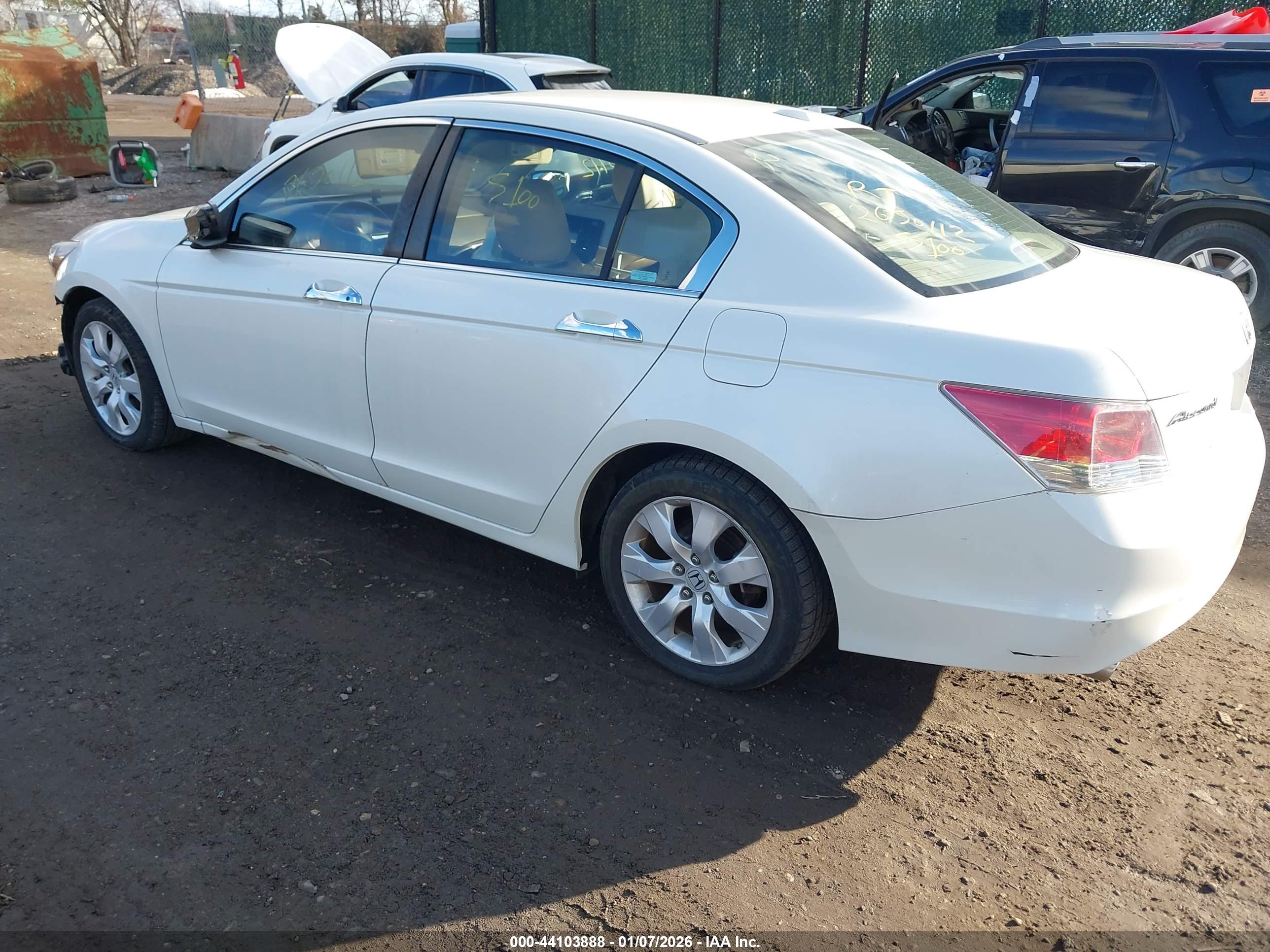 HONDA ACCORD image 3