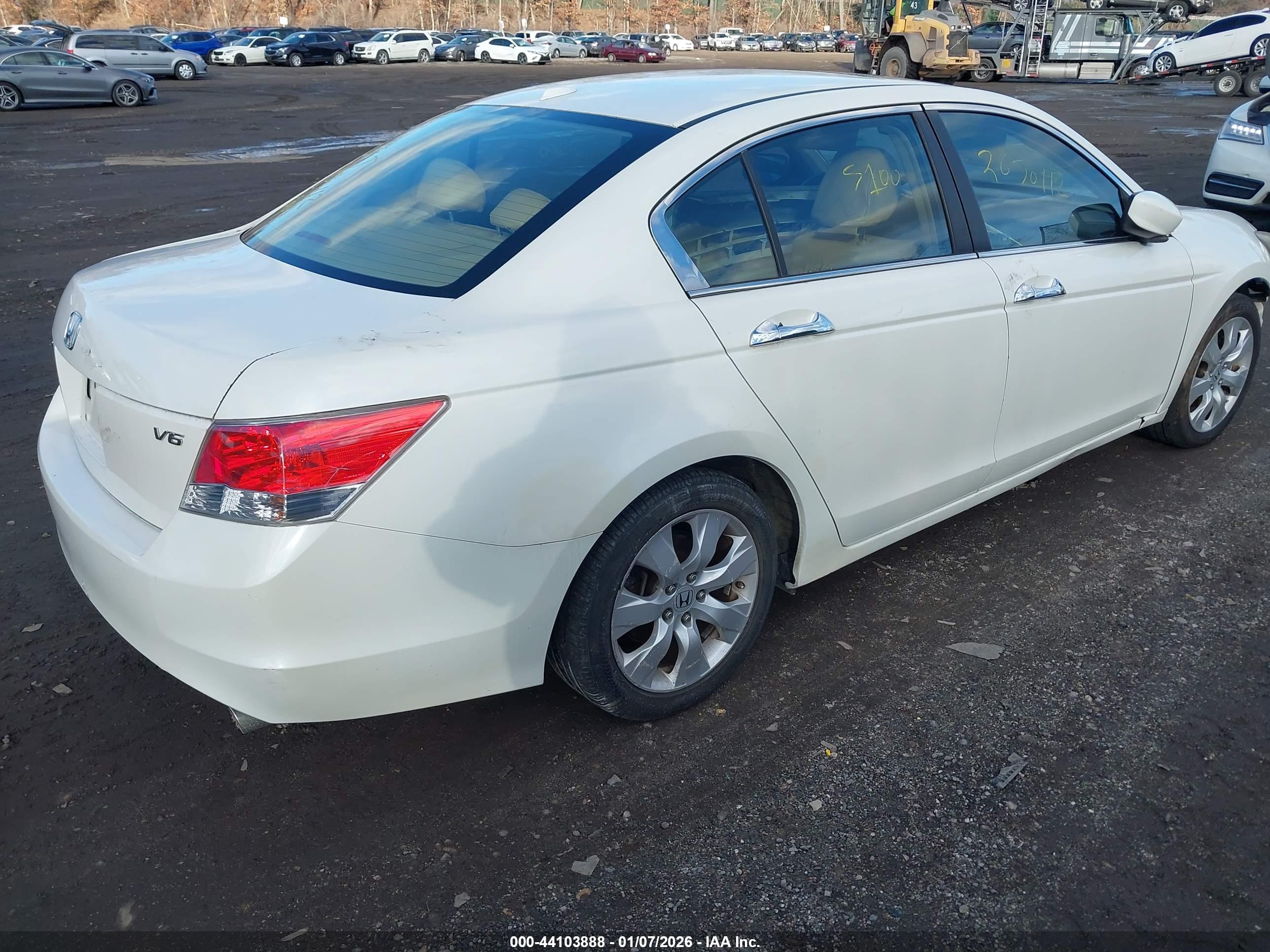HONDA ACCORD image 4