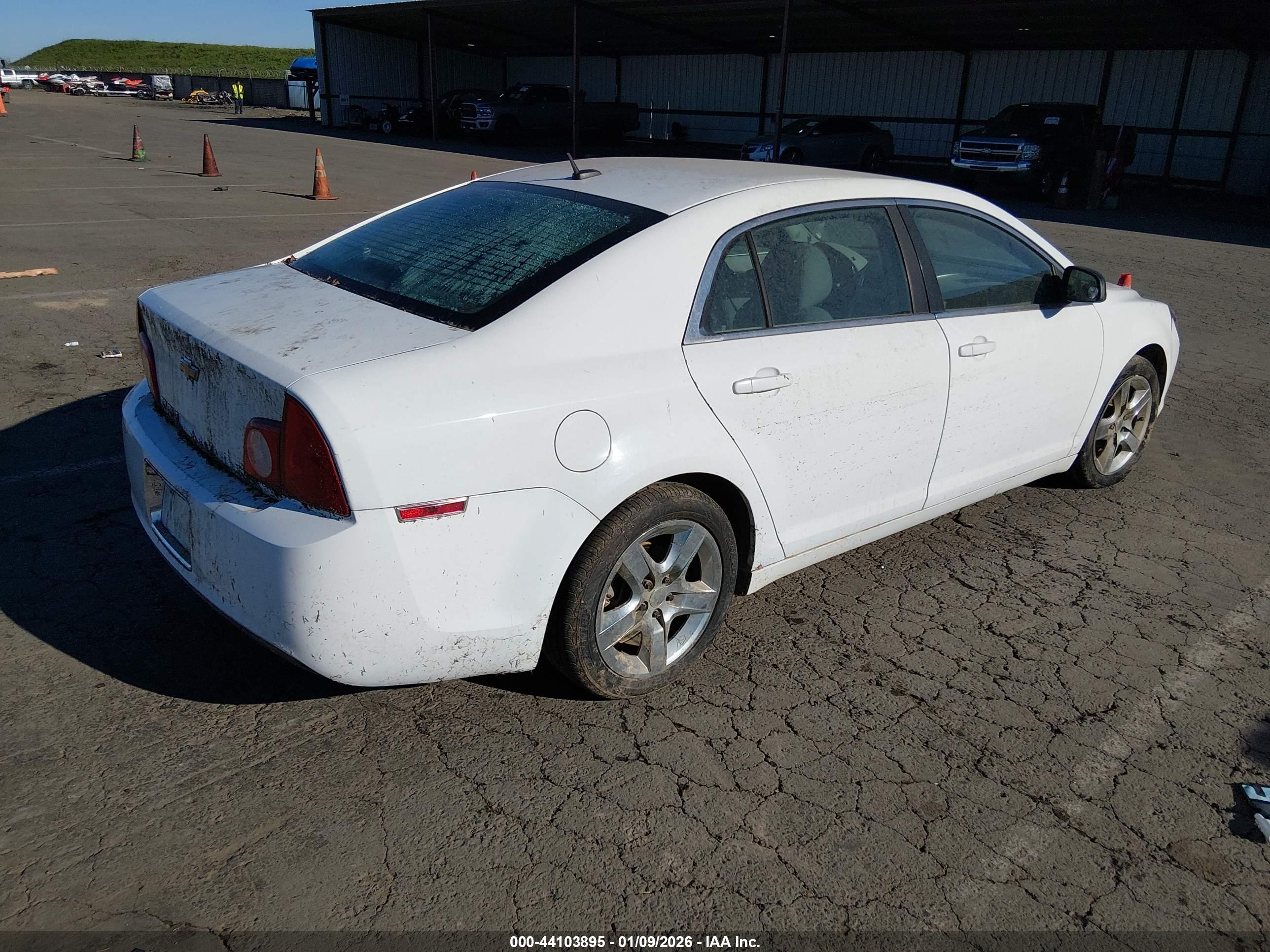 CHEVROLET MALIBU image 4