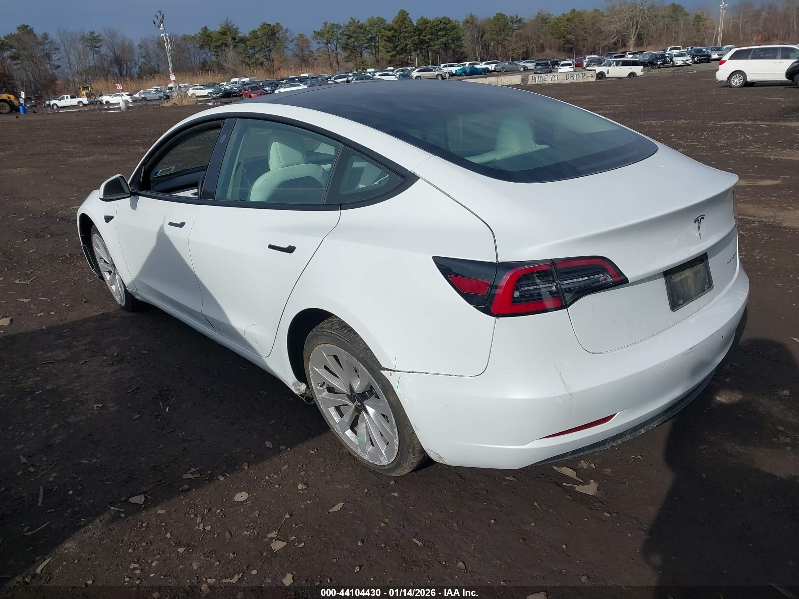 TESLA MODEL image 3
