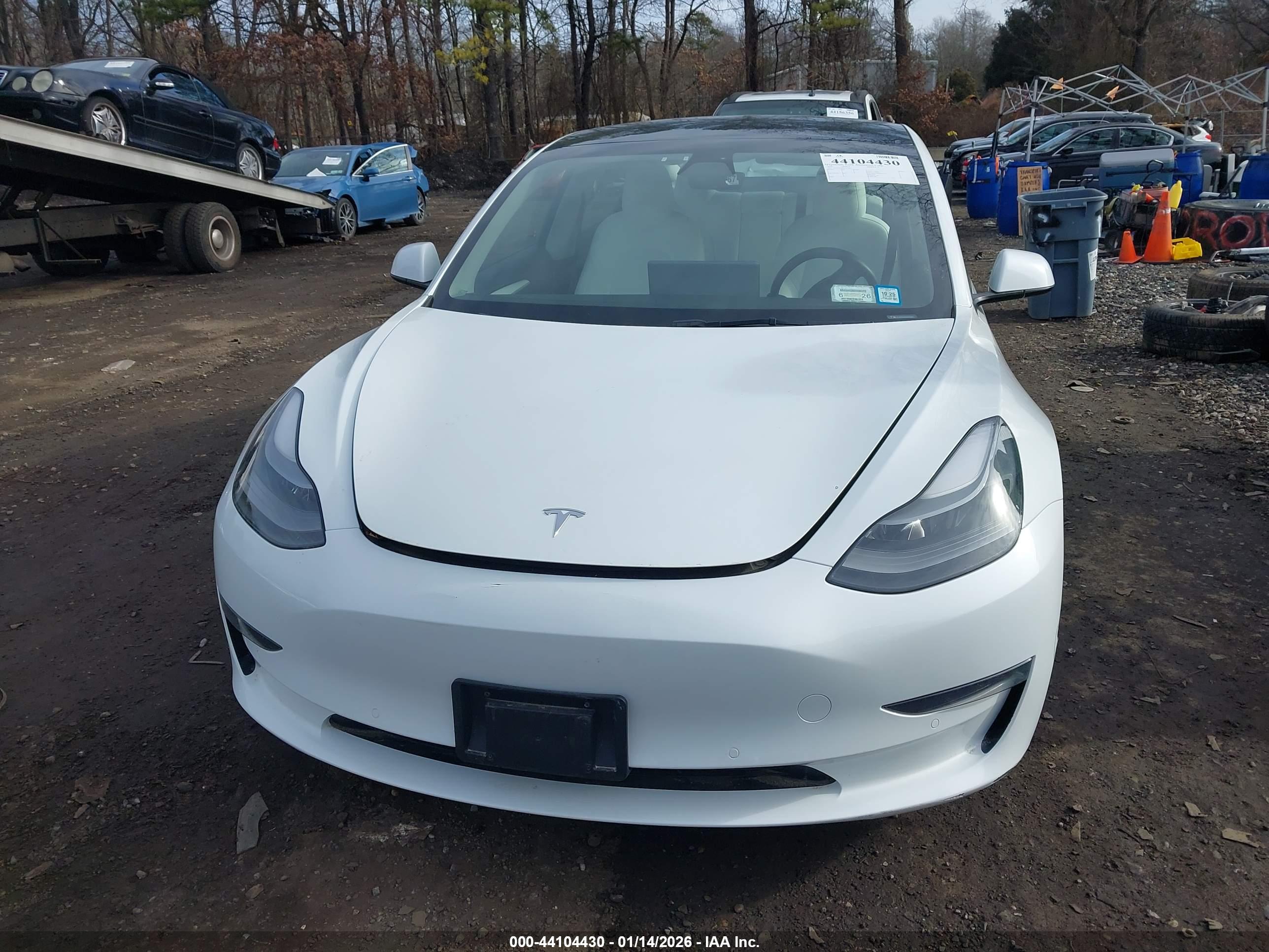 TESLA MODEL image 6