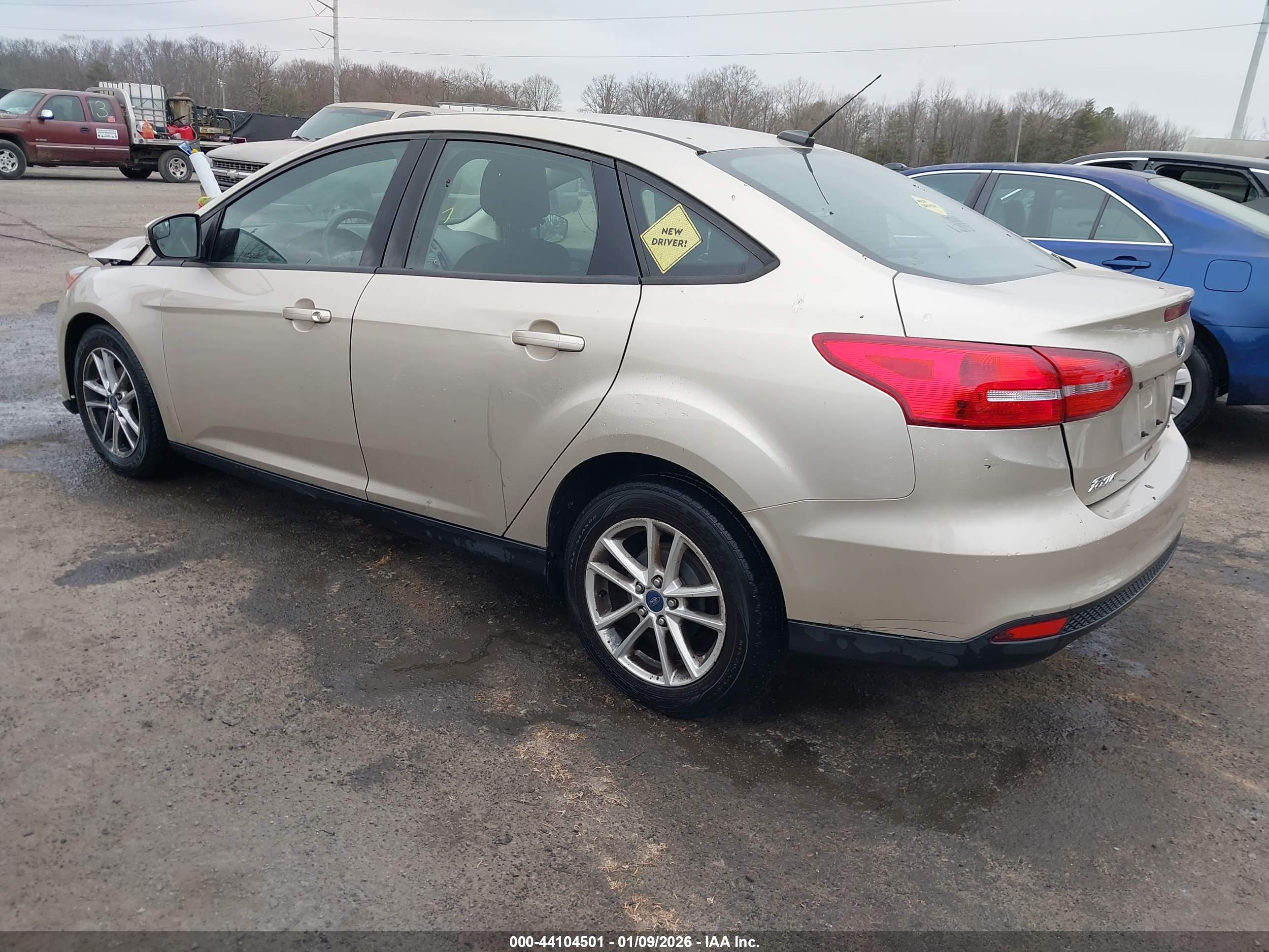 FORD FOCUS image 3