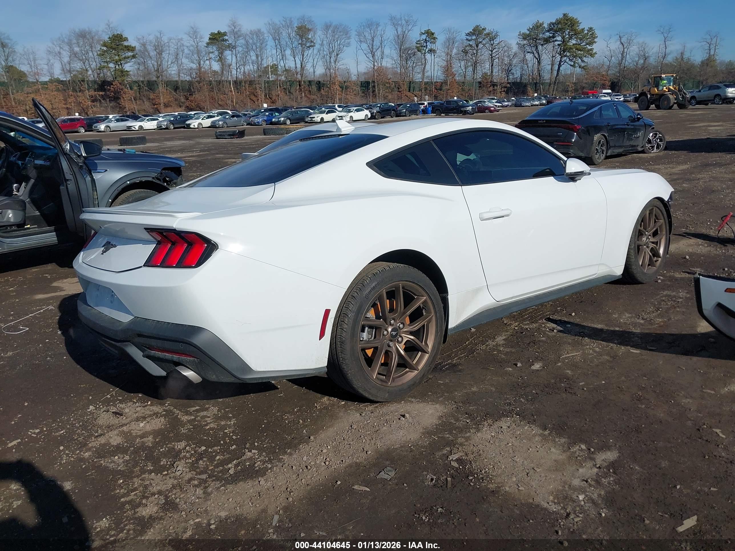 FORD MUSTANG image 4