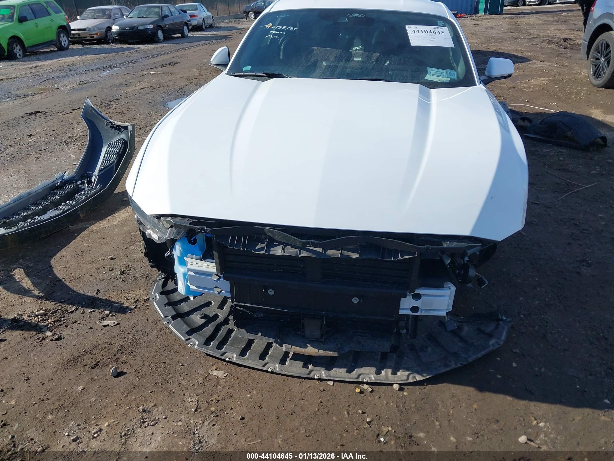 FORD MUSTANG image 6