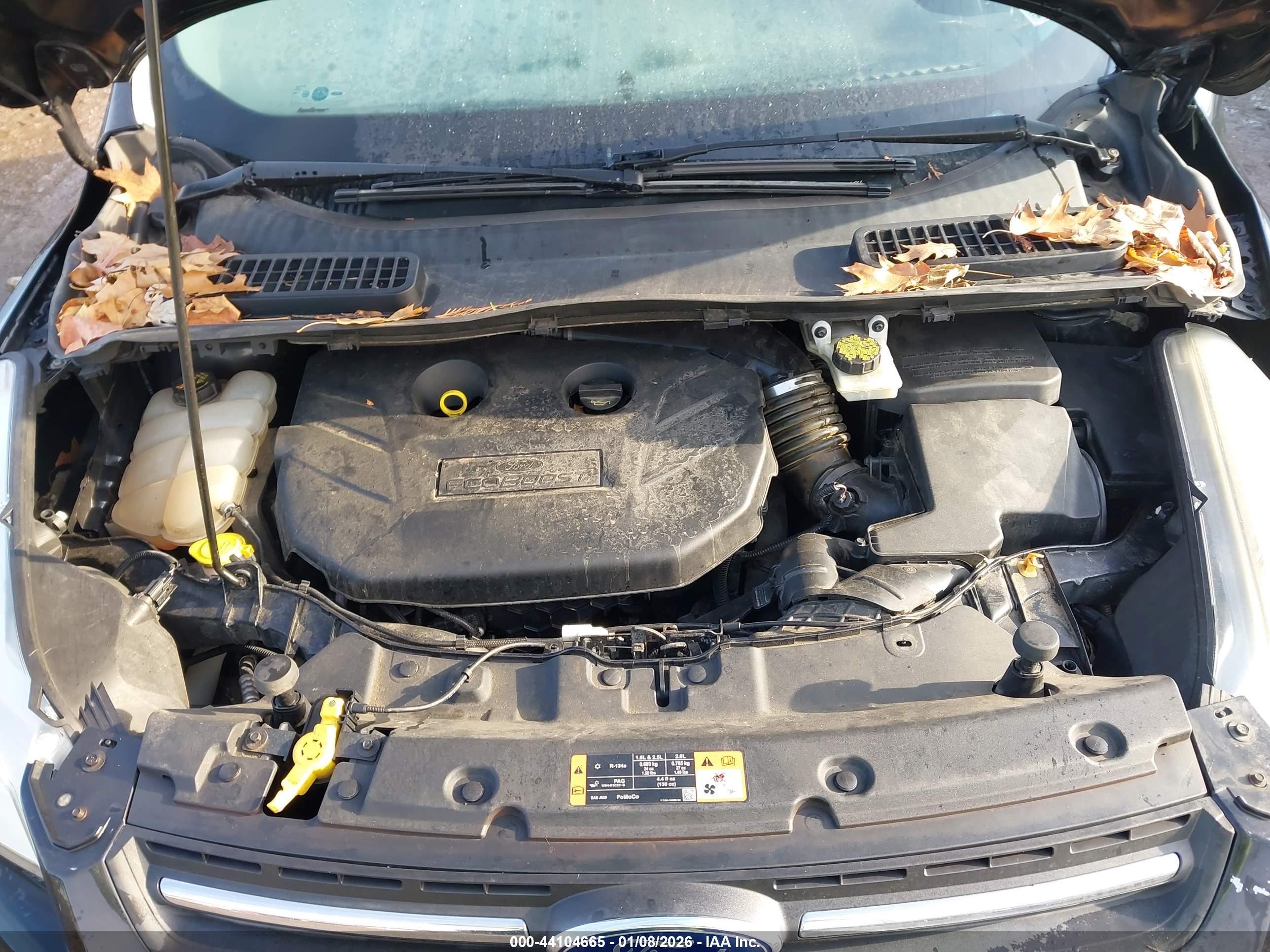 FORD ESCAPE image 10