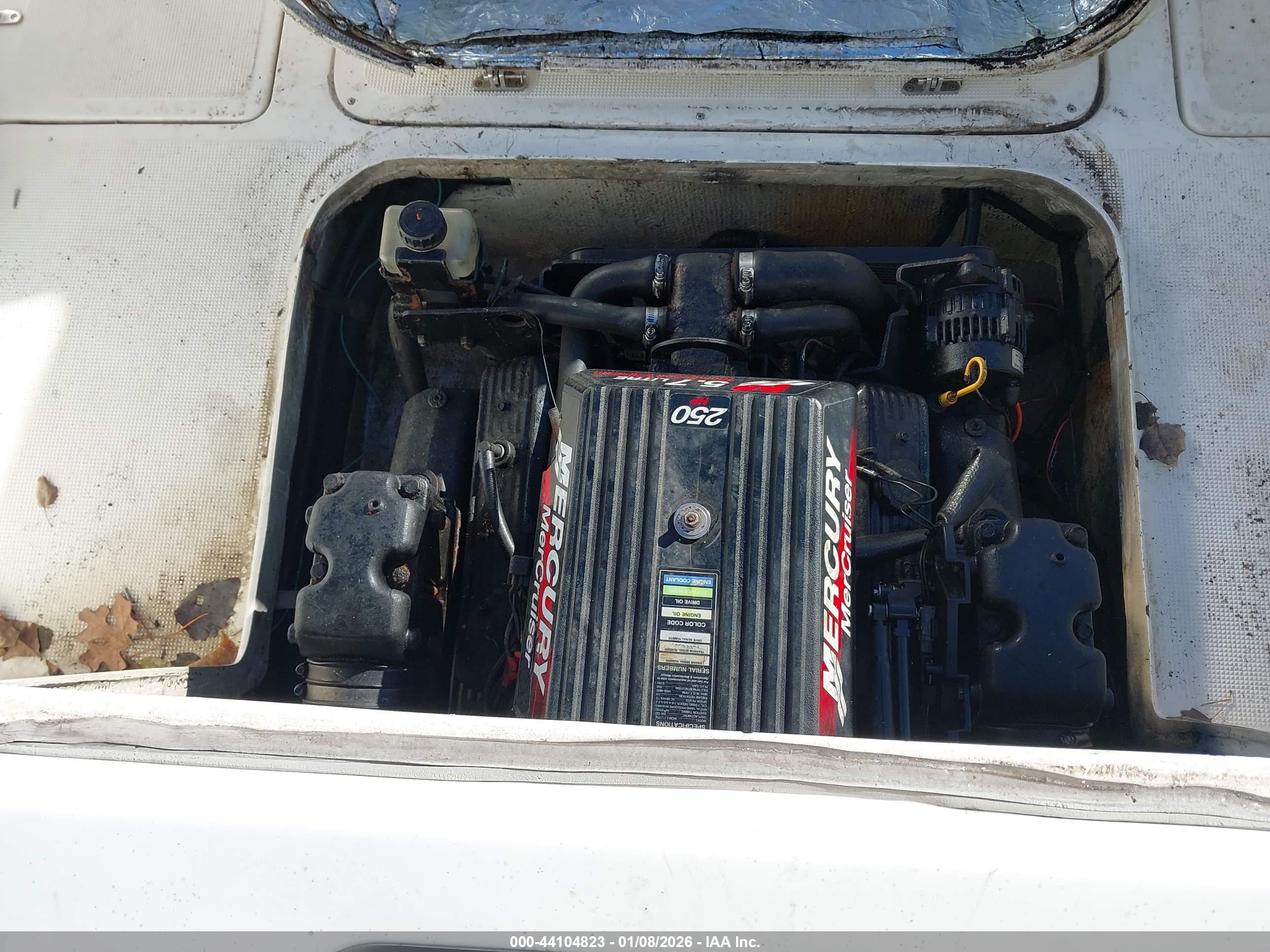 * OTHER image 10