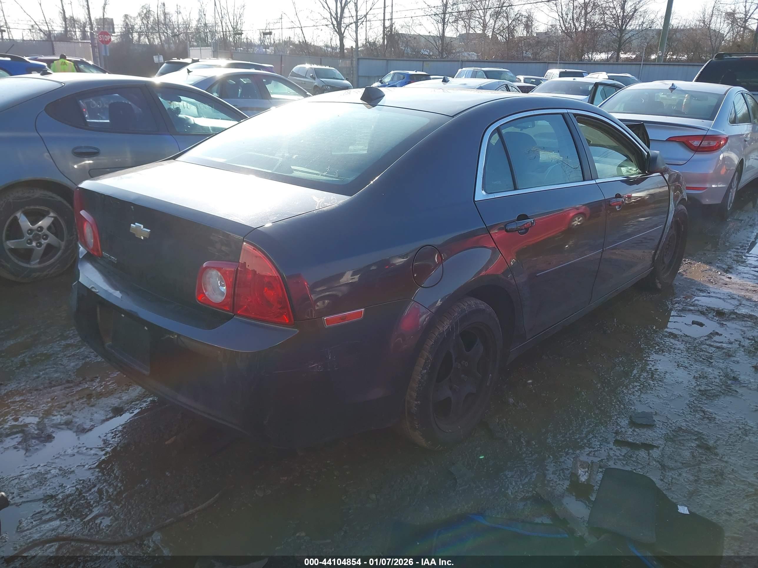 CHEVROLET MALIBU image 4