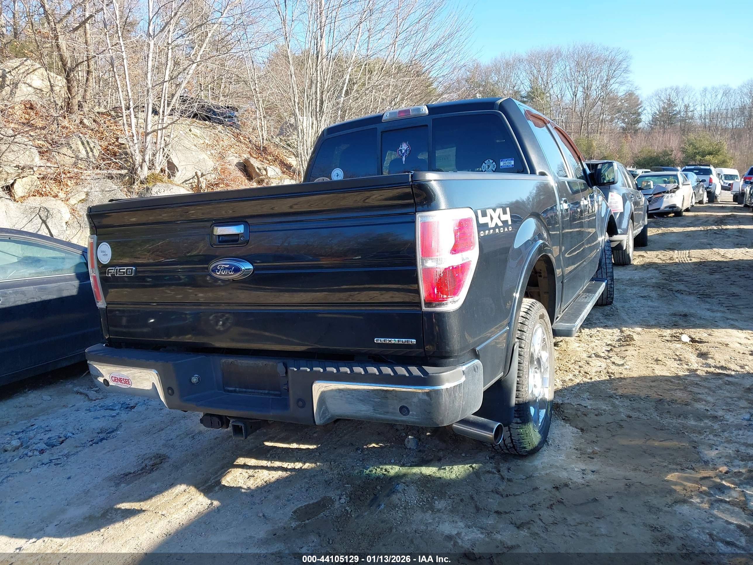 FORD F-150 image 4