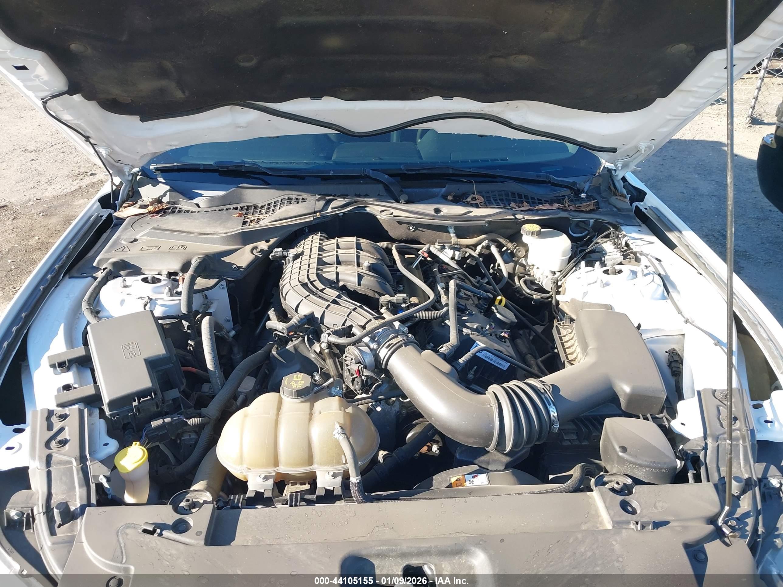FORD MUSTANG image 10