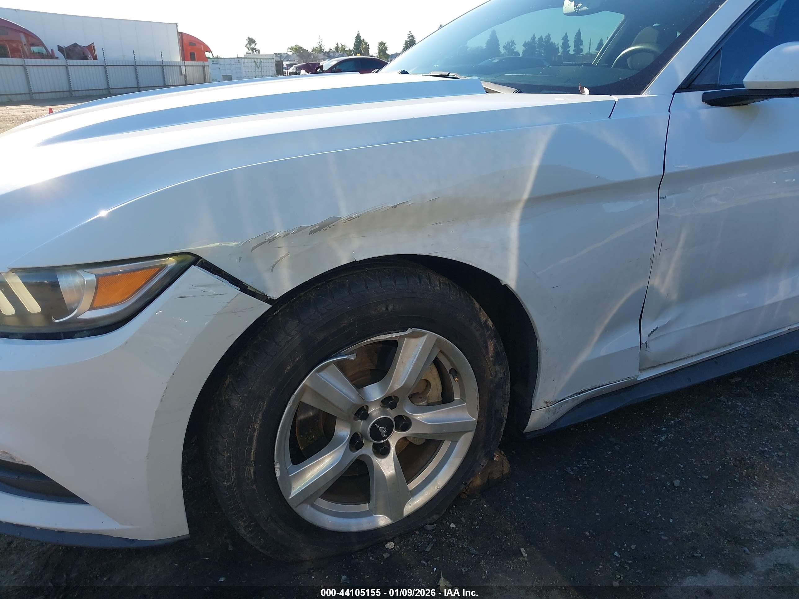 FORD MUSTANG image 6