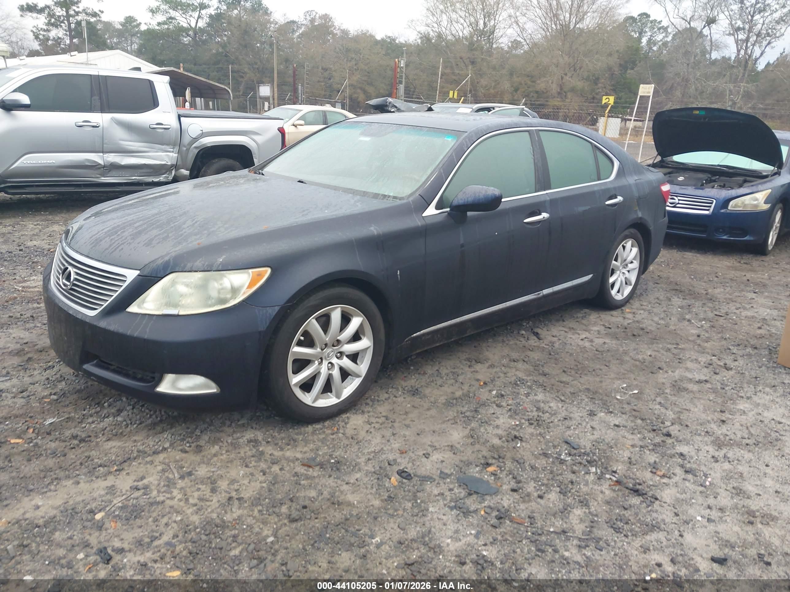 LEXUS LS image 2