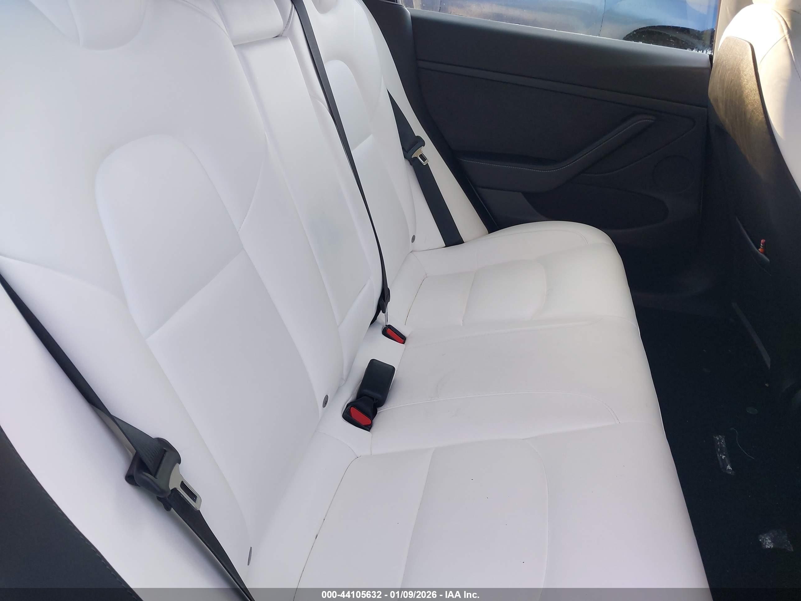 TESLA MODEL image 8