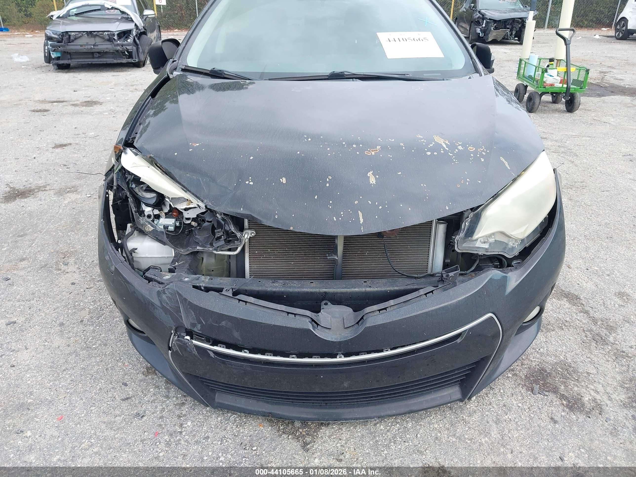 TOYOTA COROLLA image 6