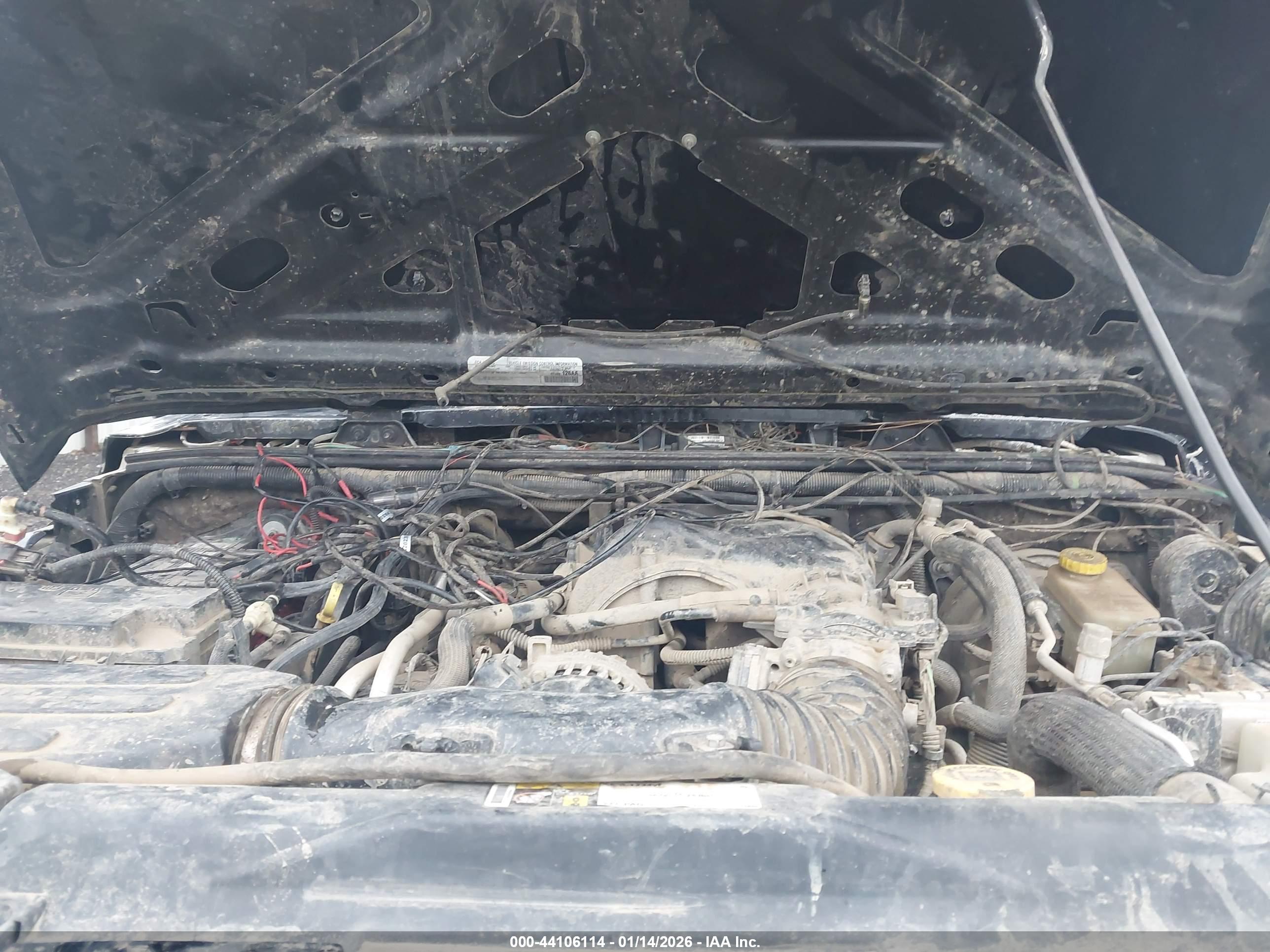 JEEP WRANGLER image 10