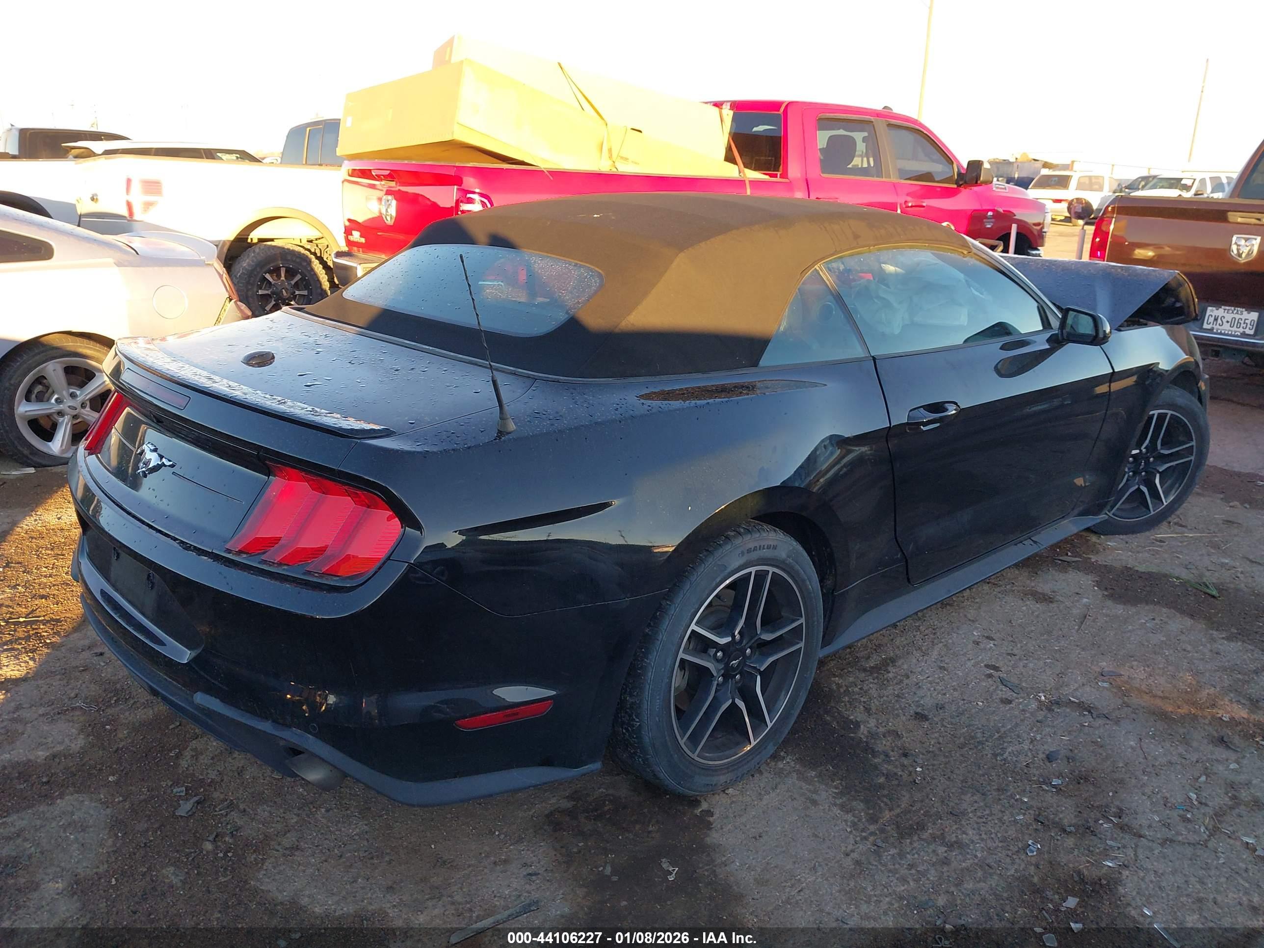FORD MUSTANG image 4