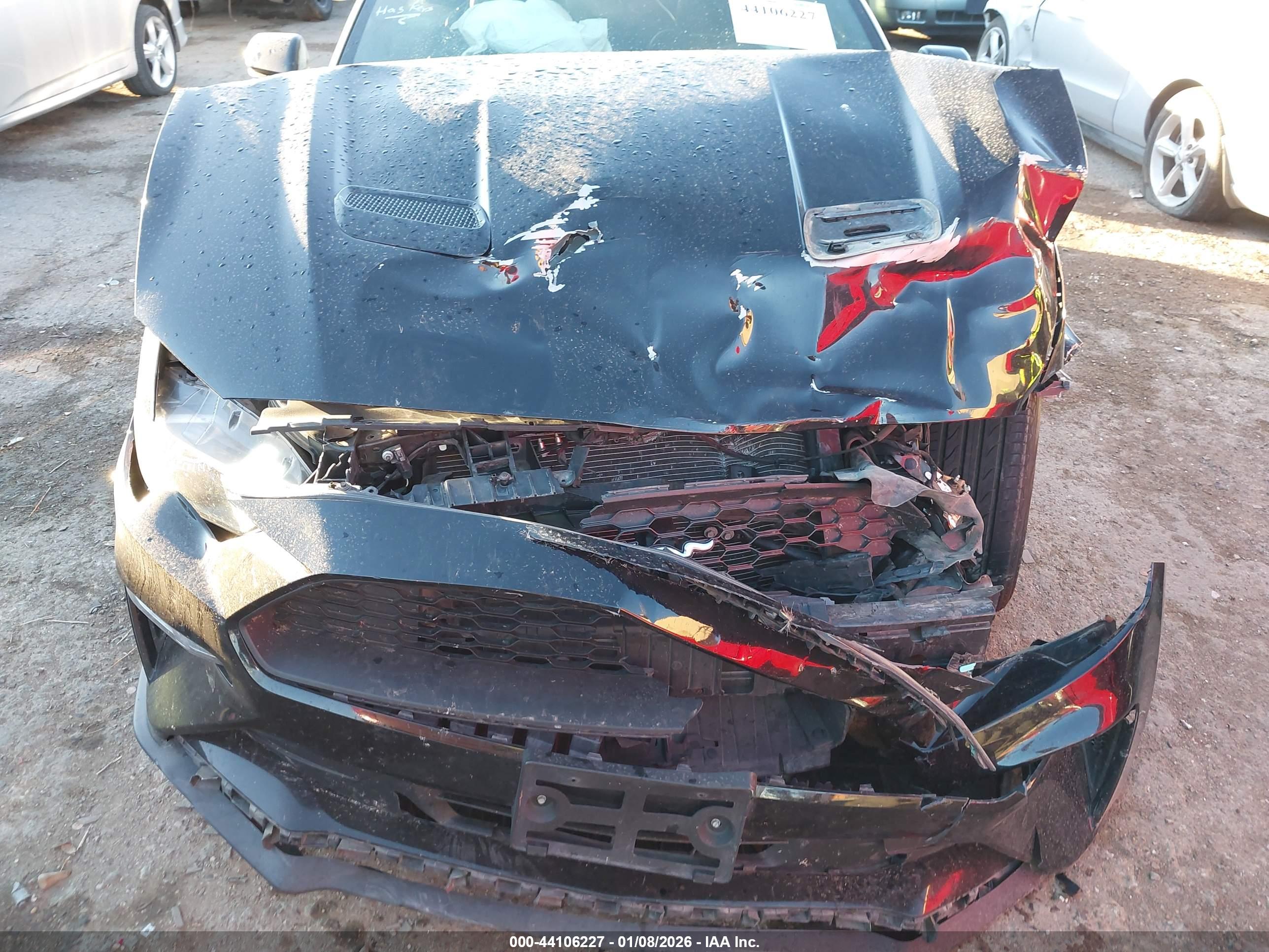 FORD MUSTANG image 6