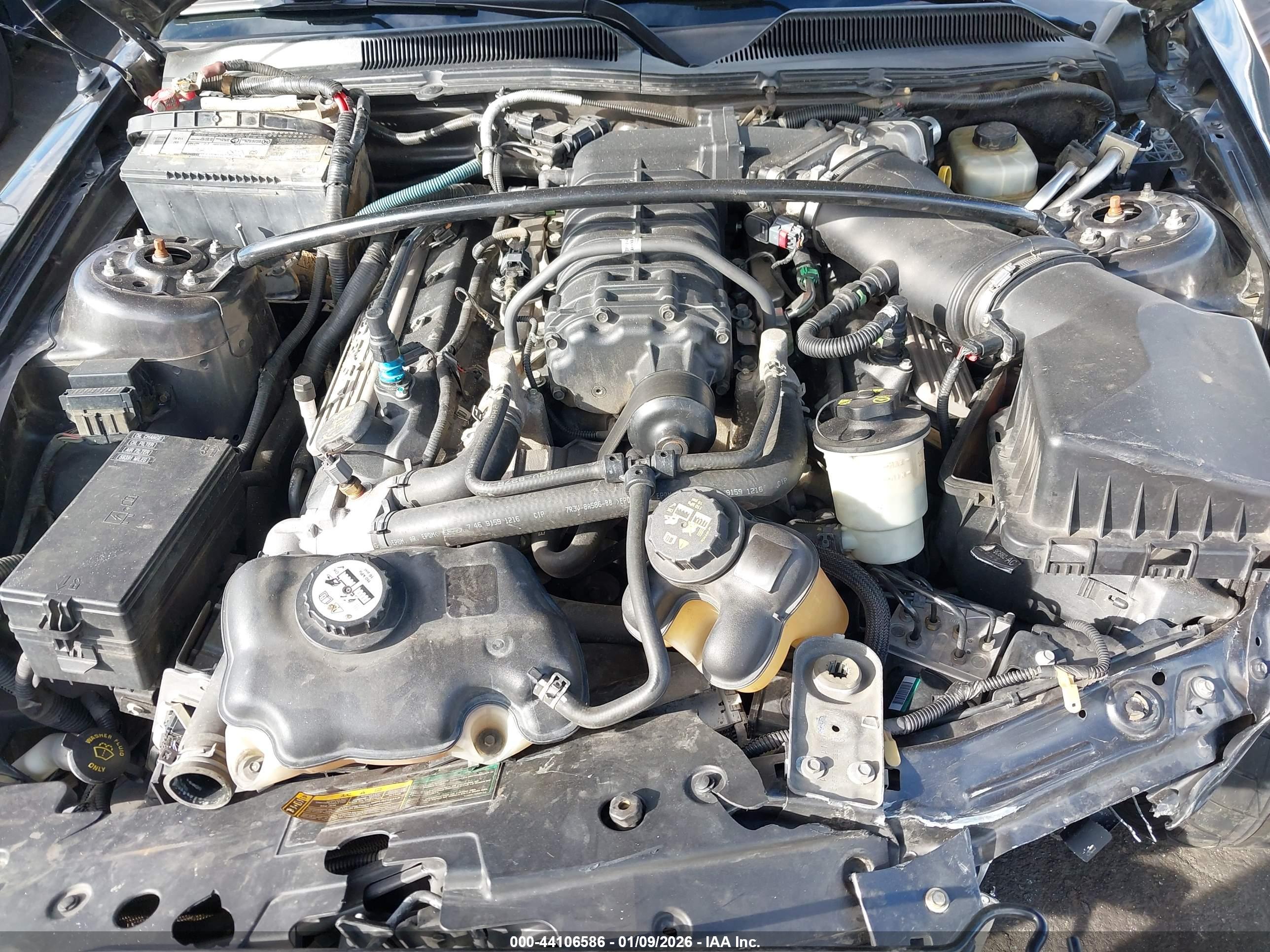FORD SHELBY image 10