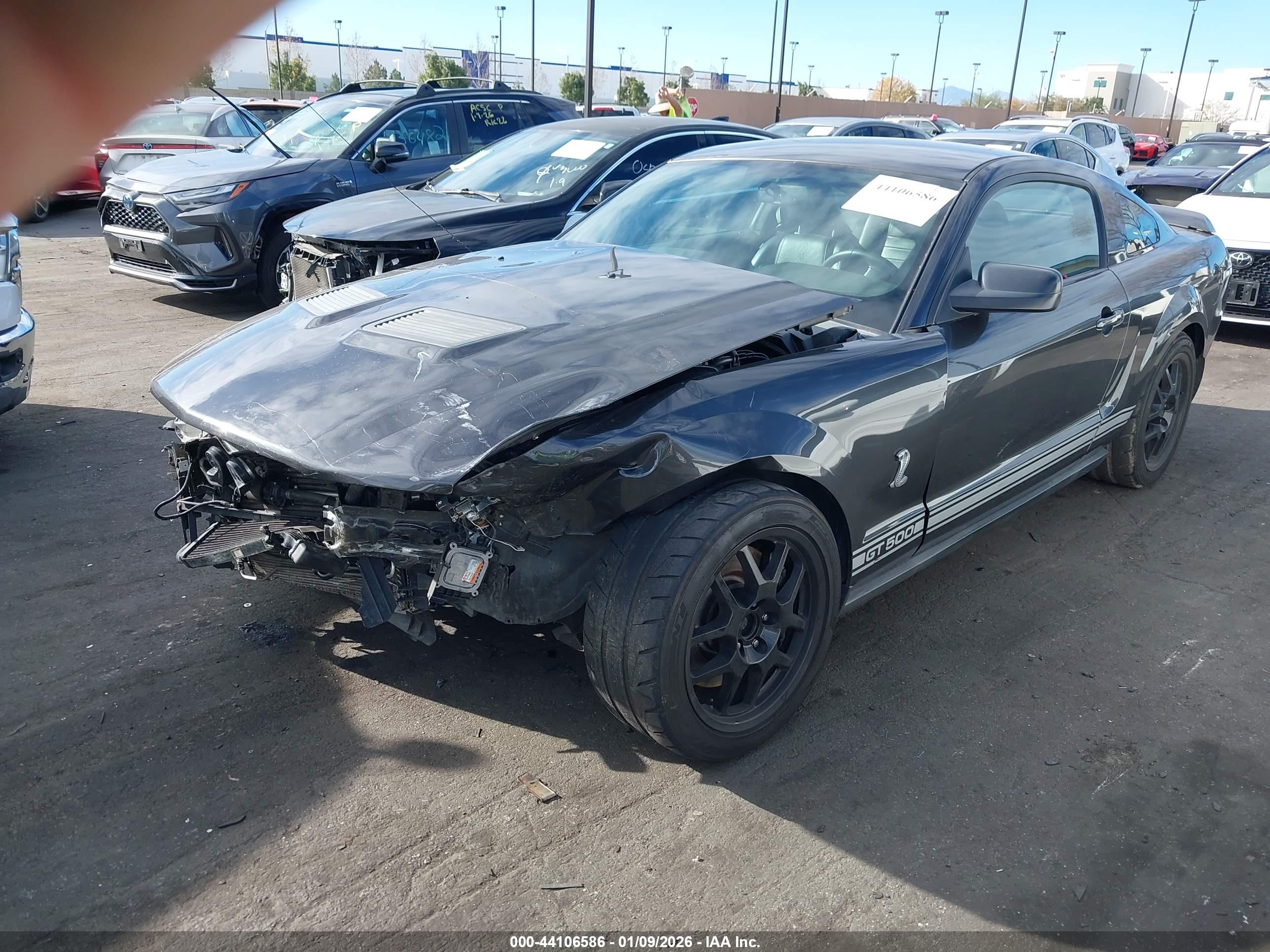 FORD SHELBY image 2