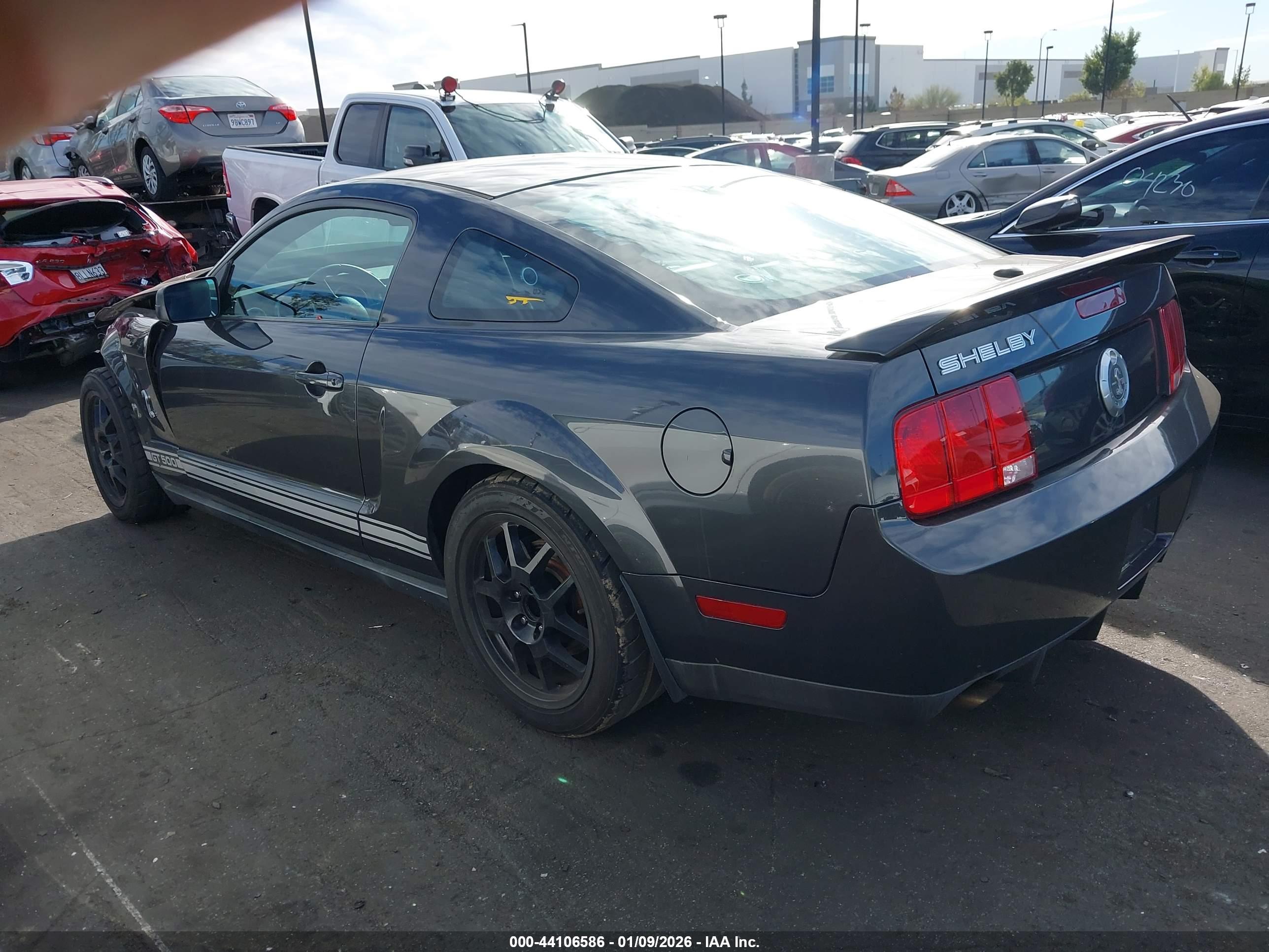 FORD SHELBY image 3