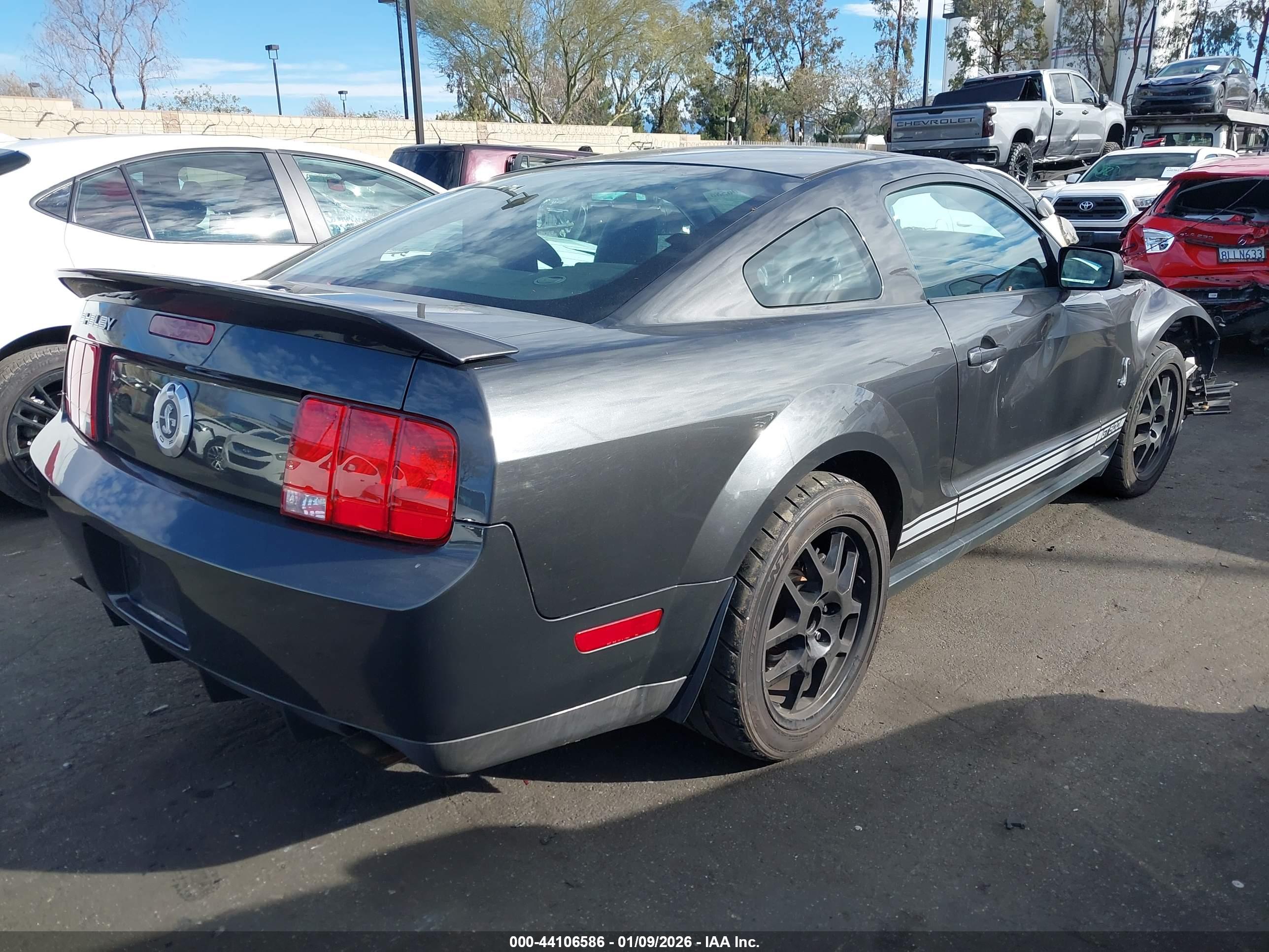 FORD SHELBY image 4