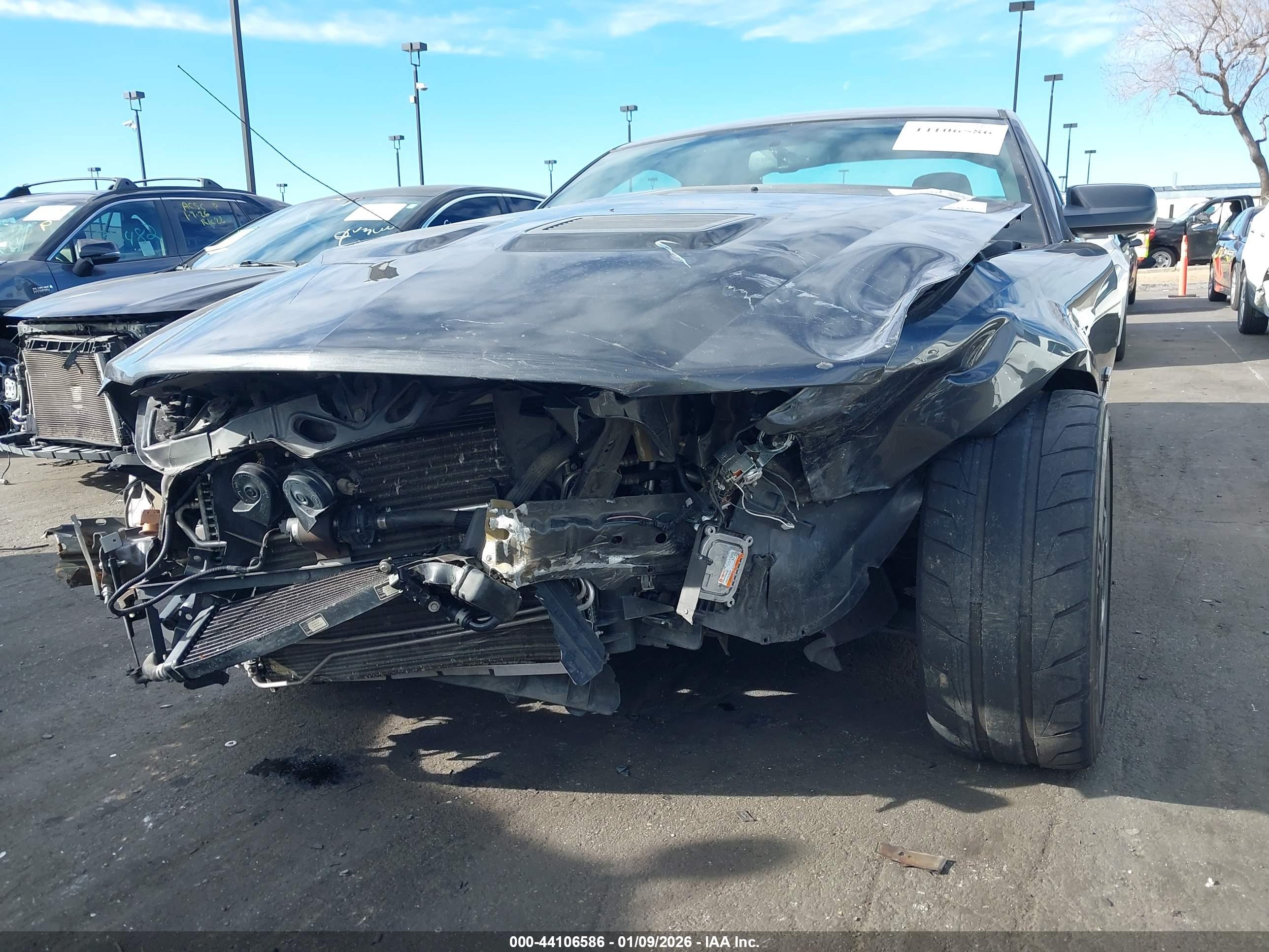 FORD SHELBY image 6