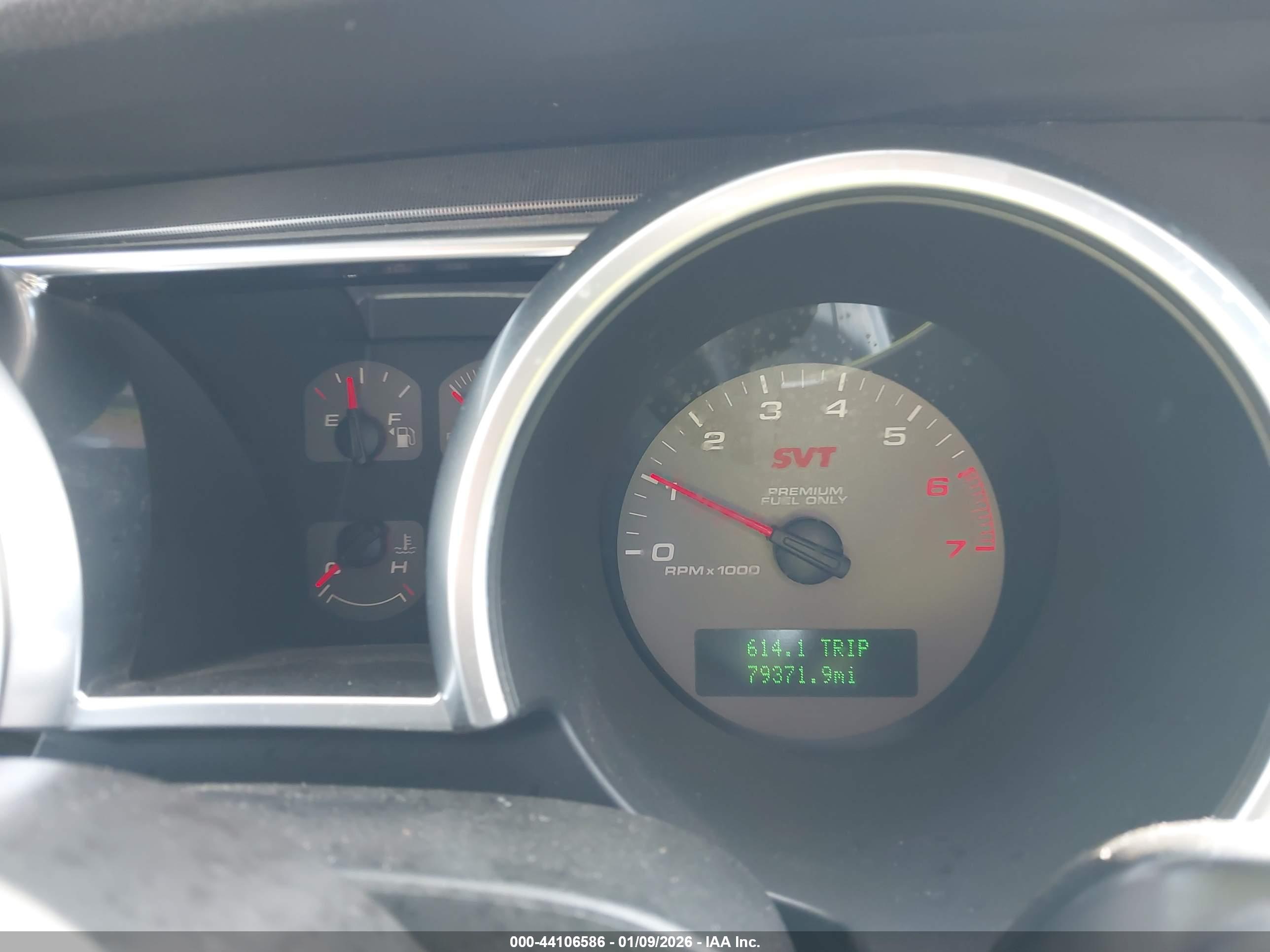 FORD SHELBY image 7