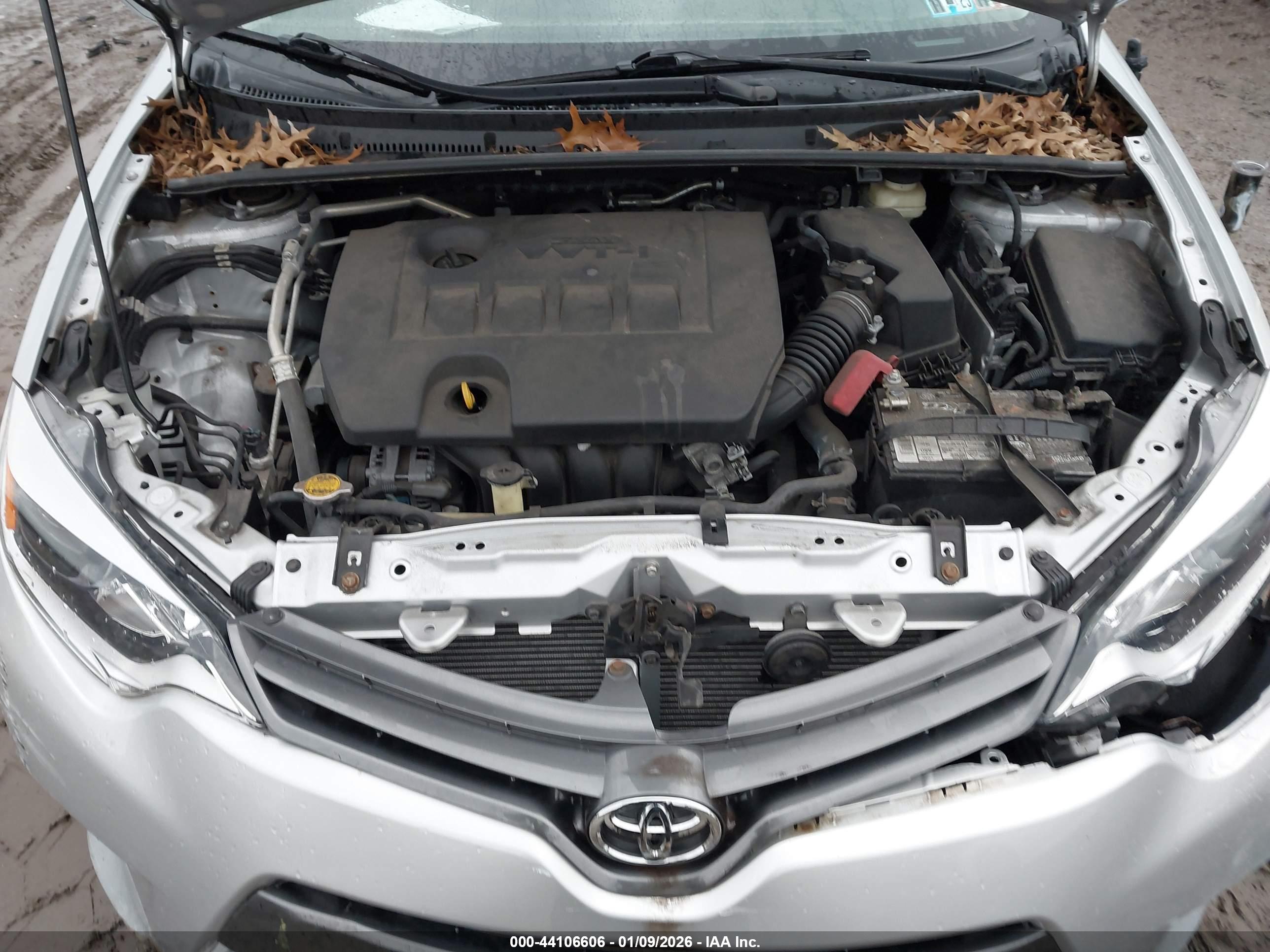 TOYOTA COROLLA image 10