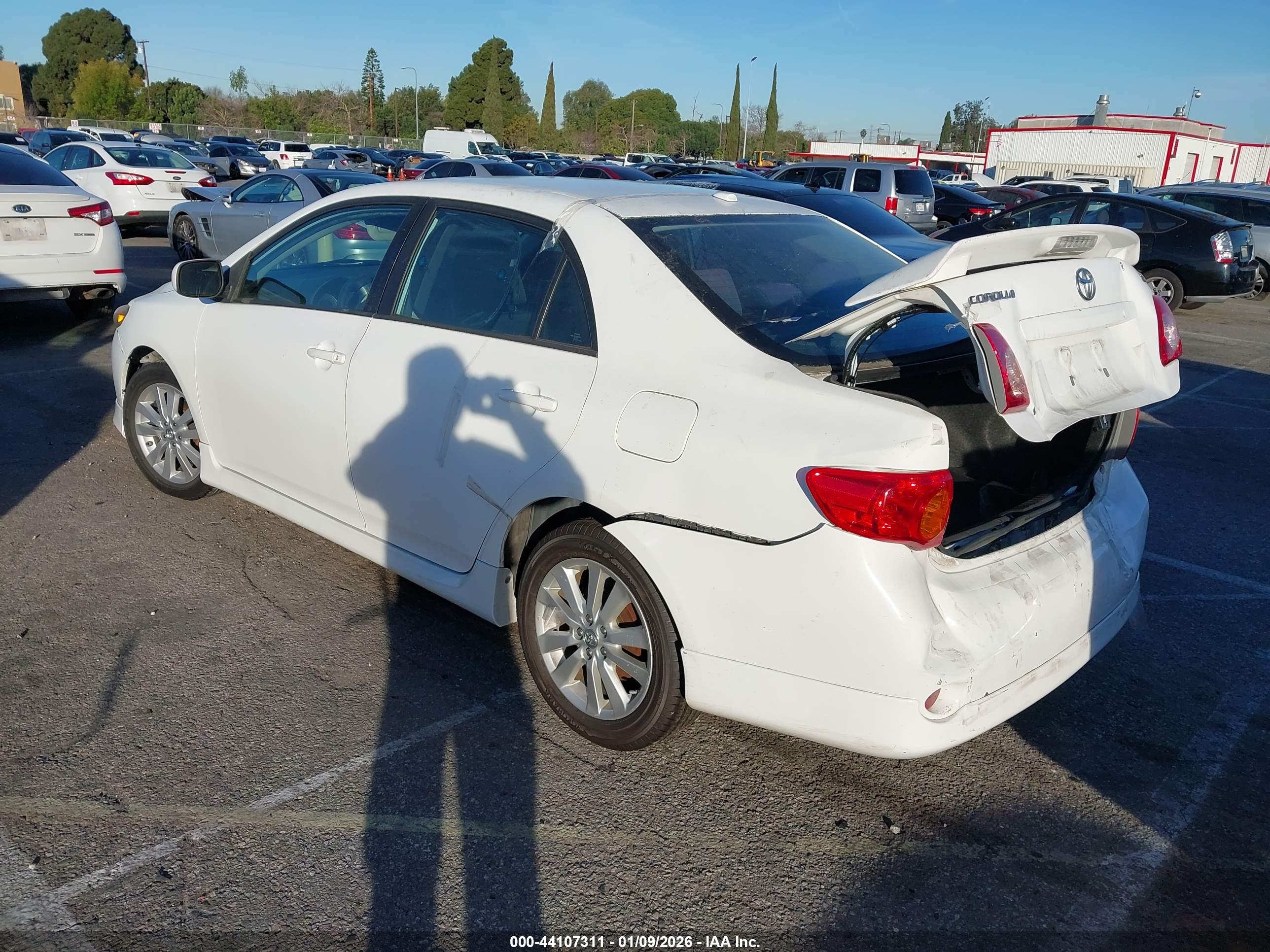 TOYOTA COROLLA image 3