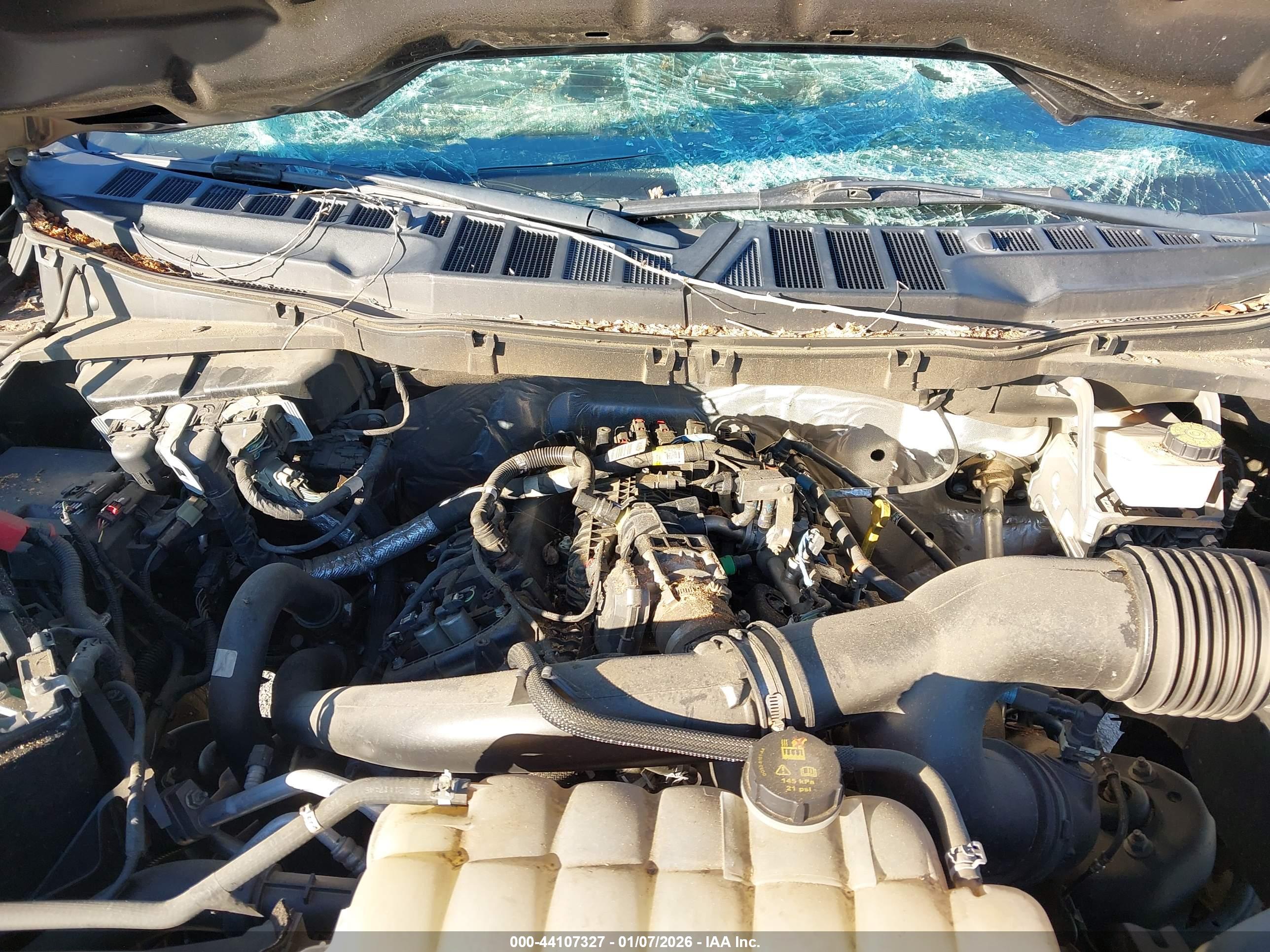 FORD F-150 image 10