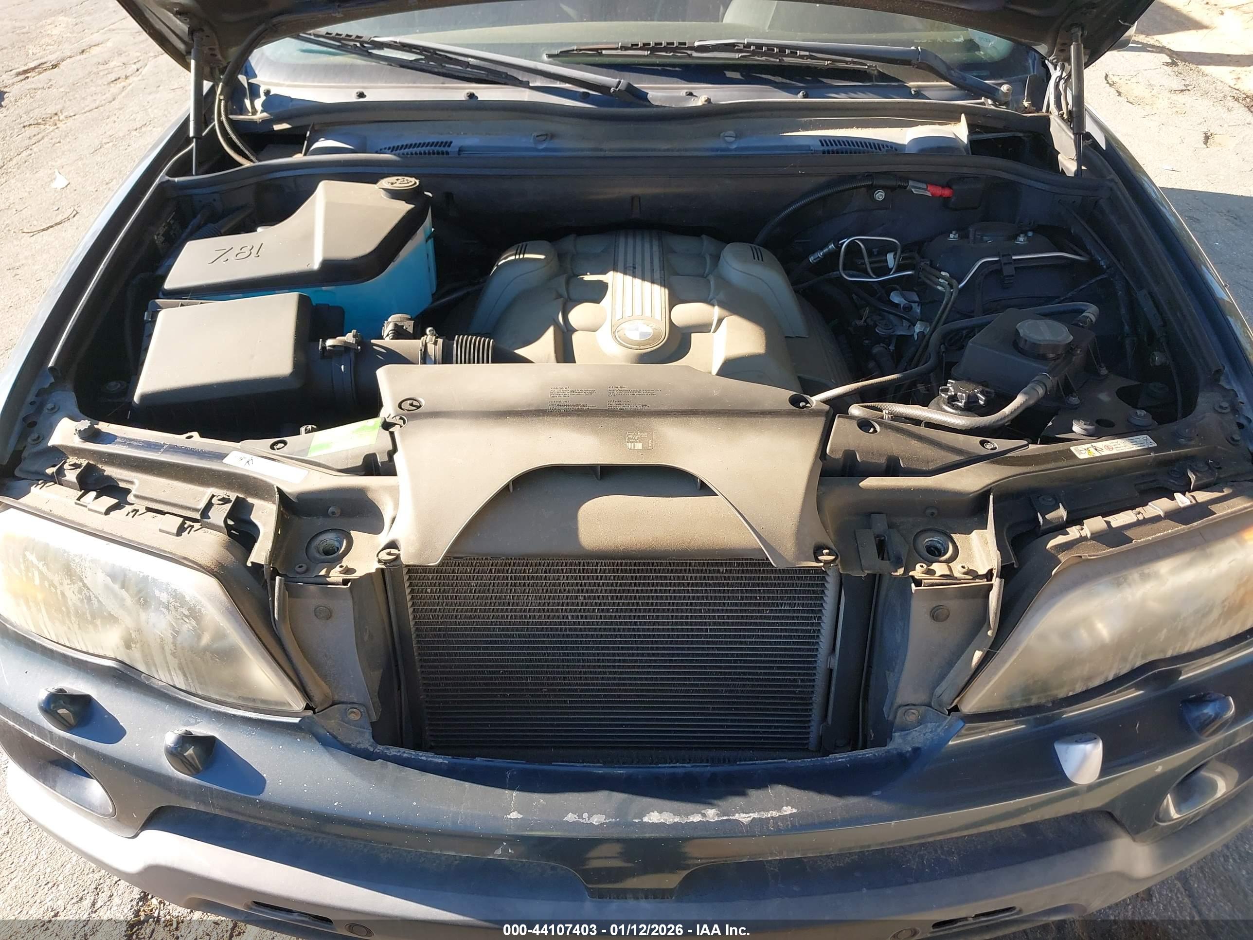 BMW X5 image 10