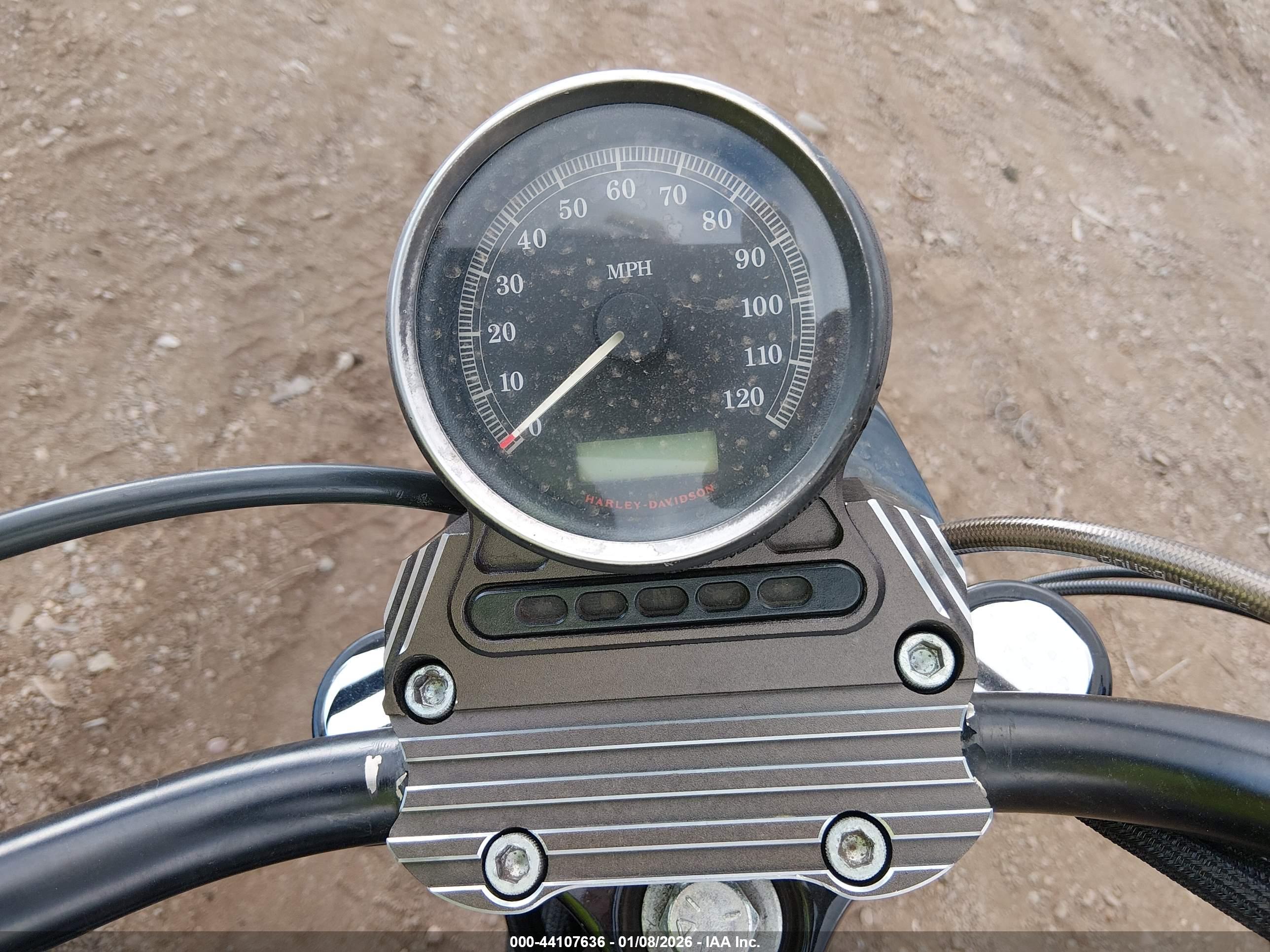 HARLEY-DAVIDSON XL1200 image 7