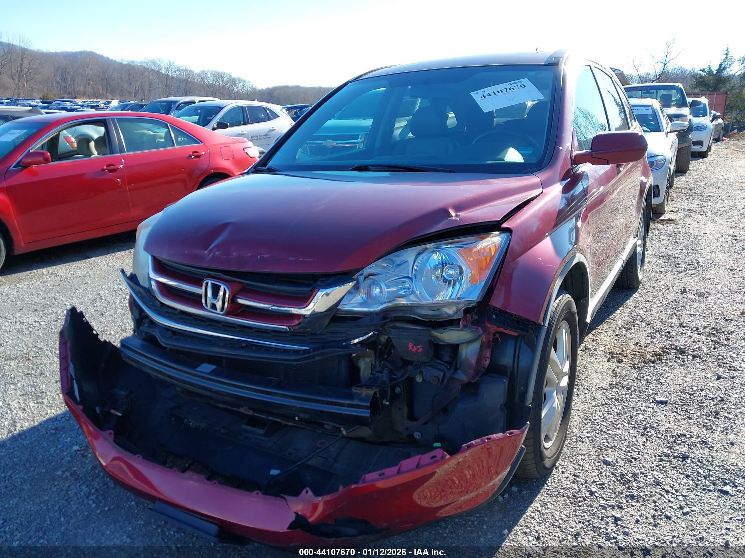 HONDA CR-V image 6