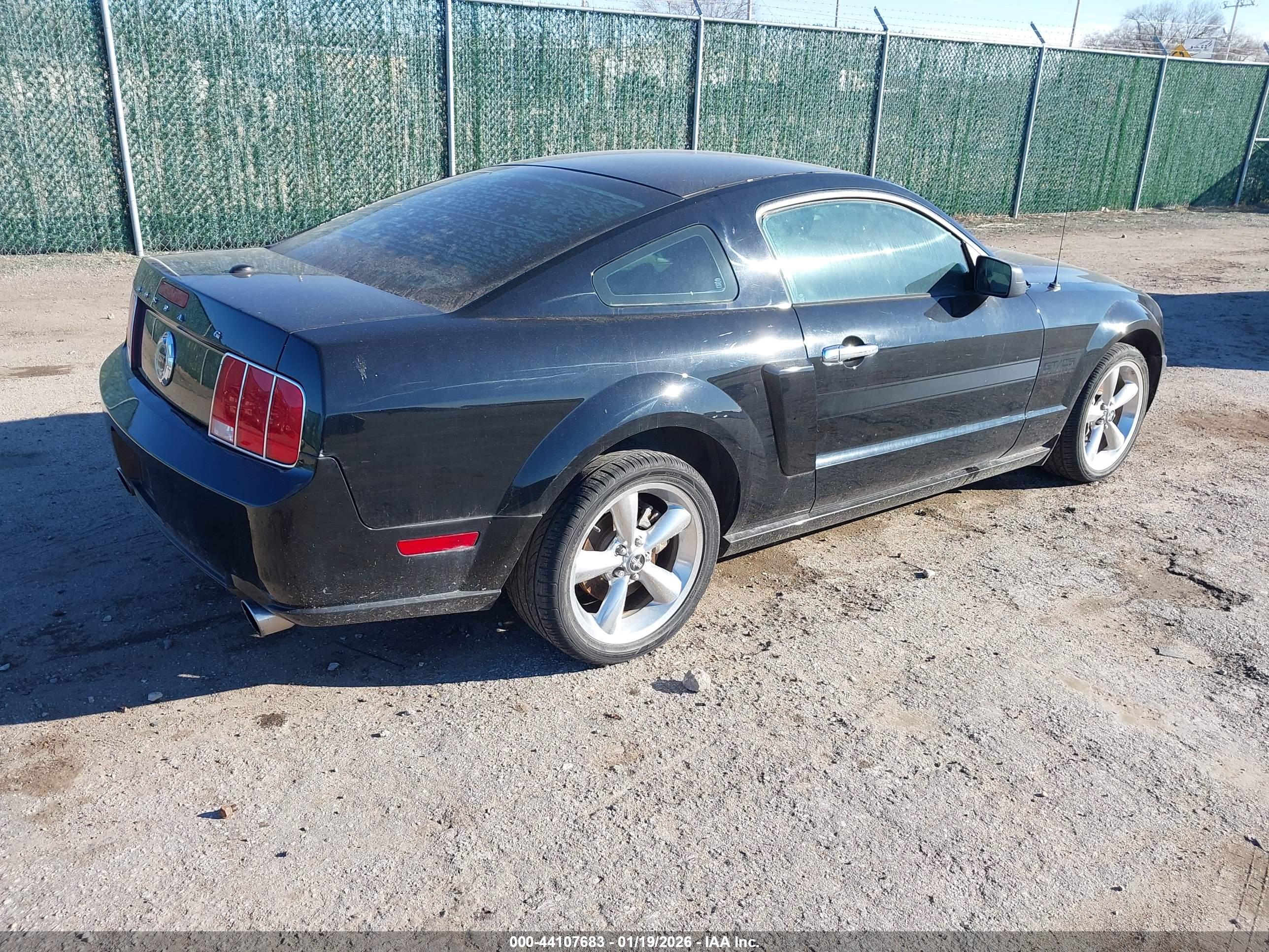 FORD MUSTANG image 4