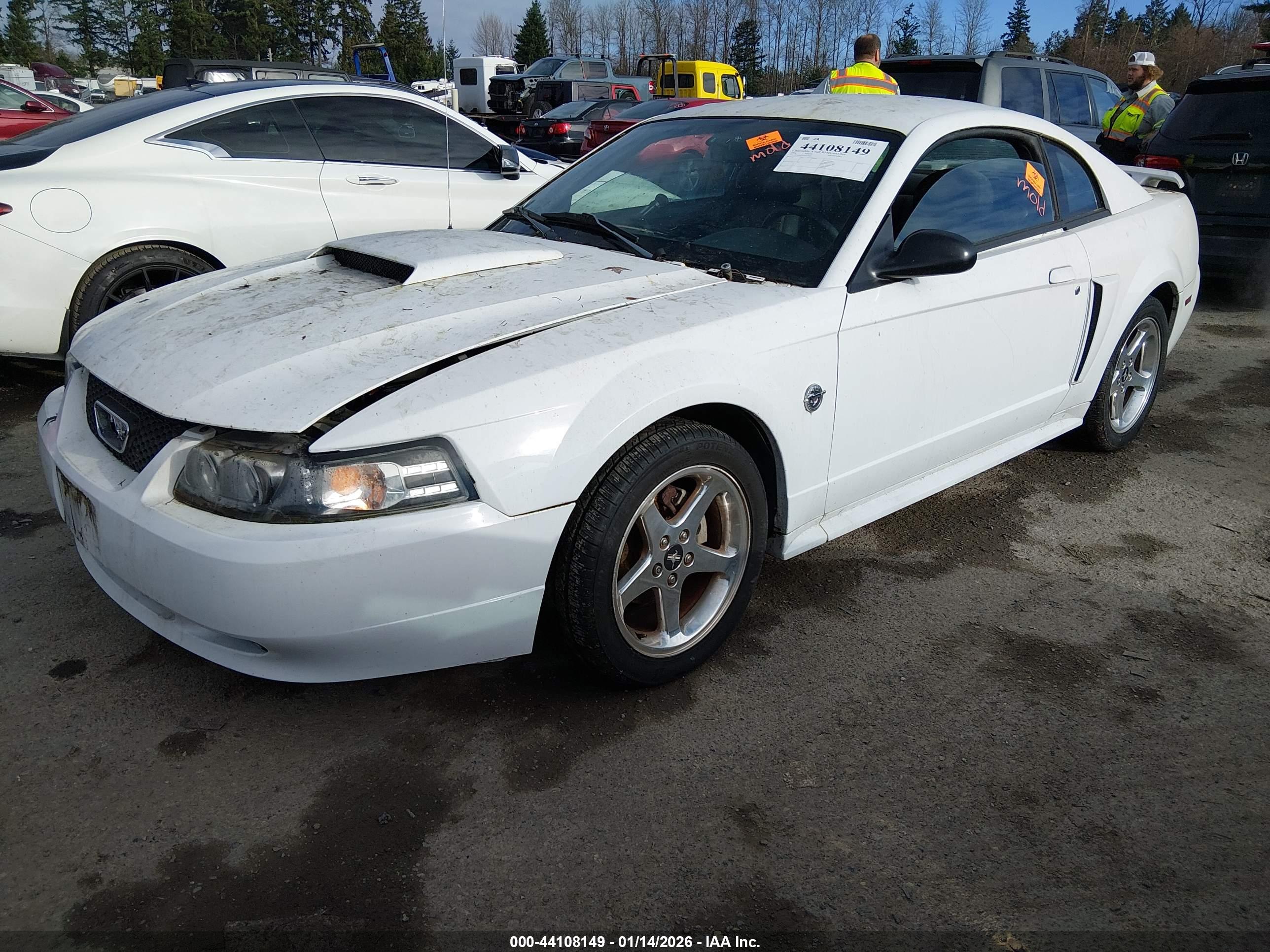 FORD MUSTANG image 2