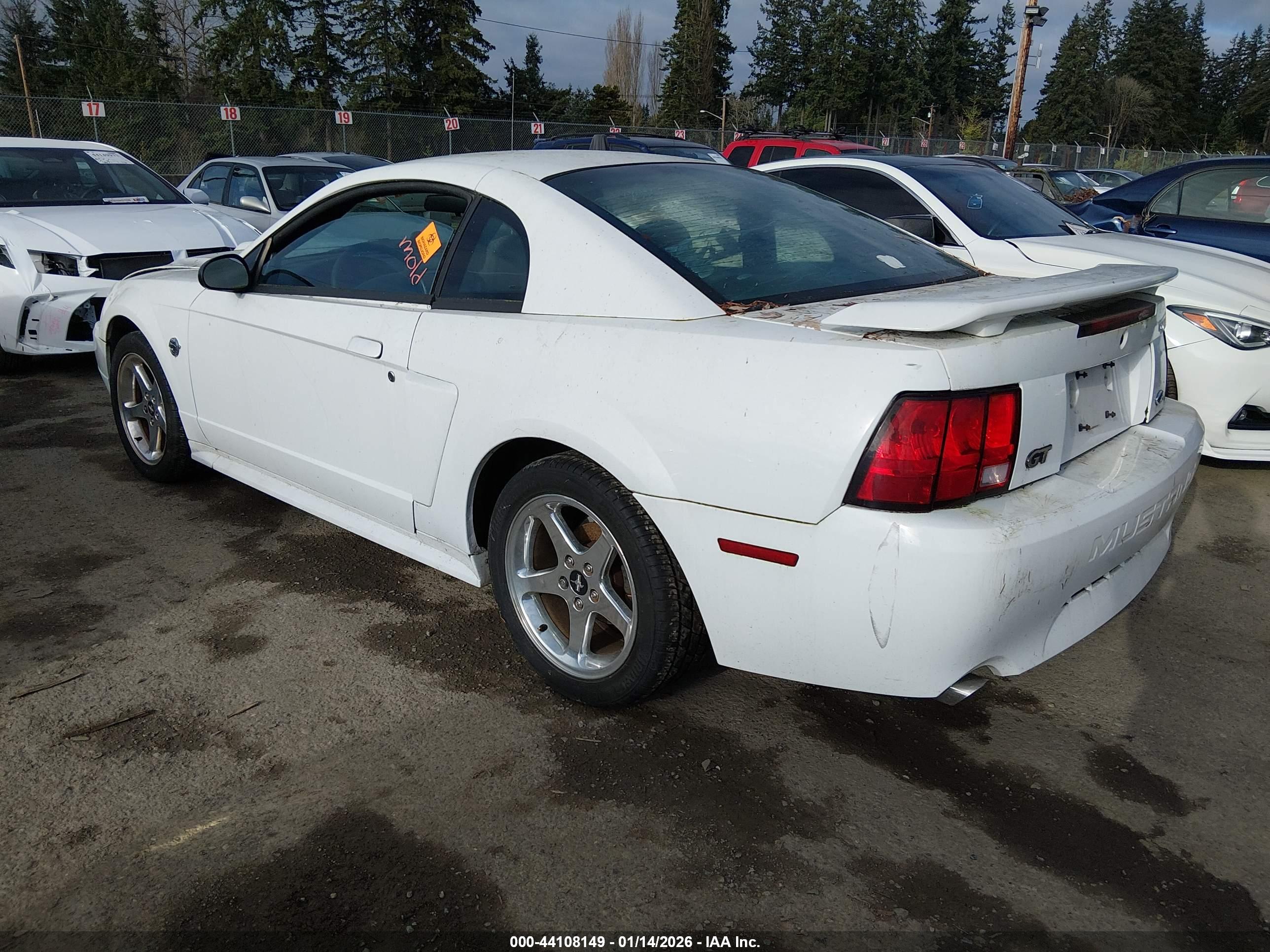 FORD MUSTANG image 3