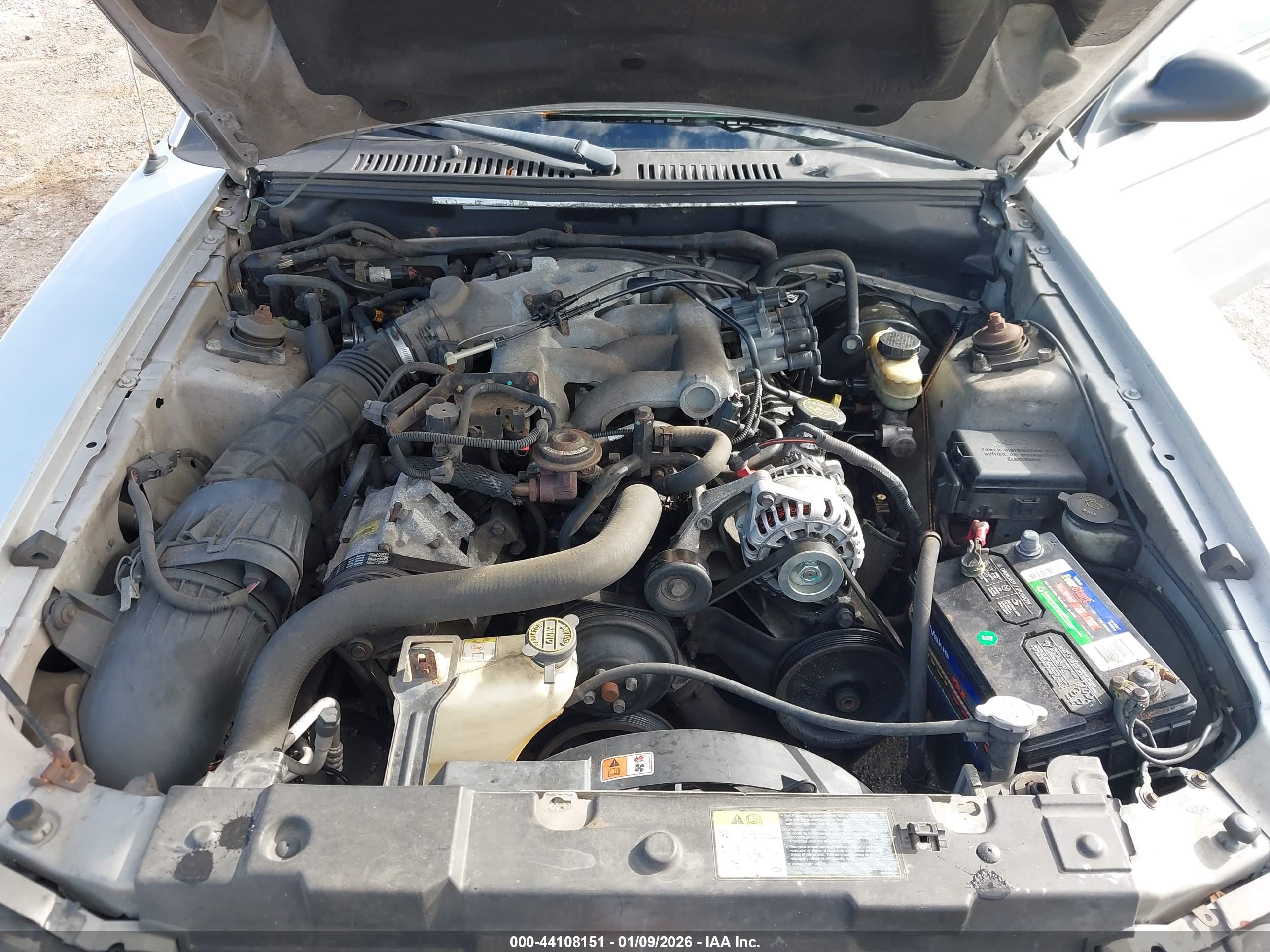 FORD MUSTANG image 10