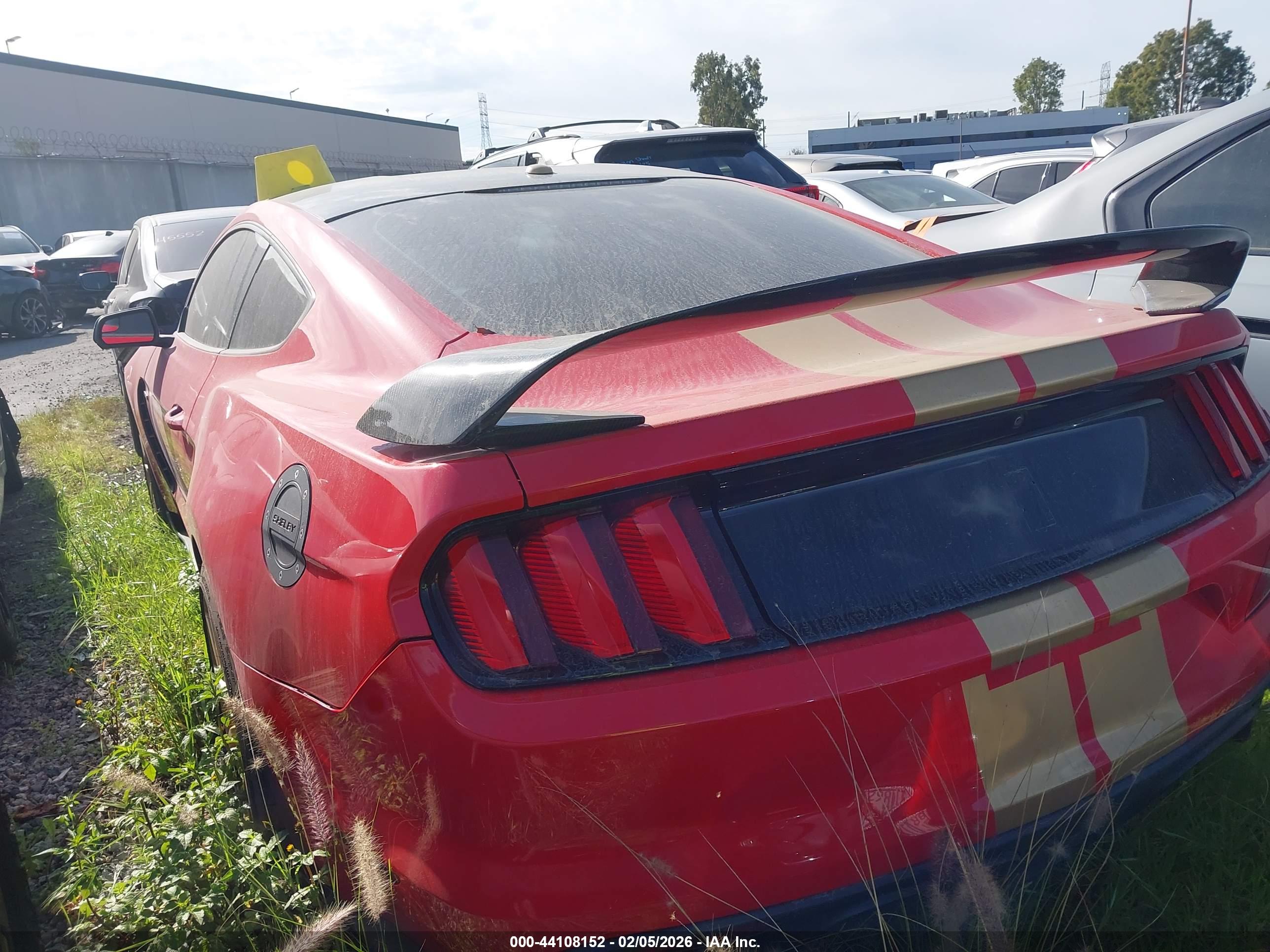 FORD SHELBY image 3