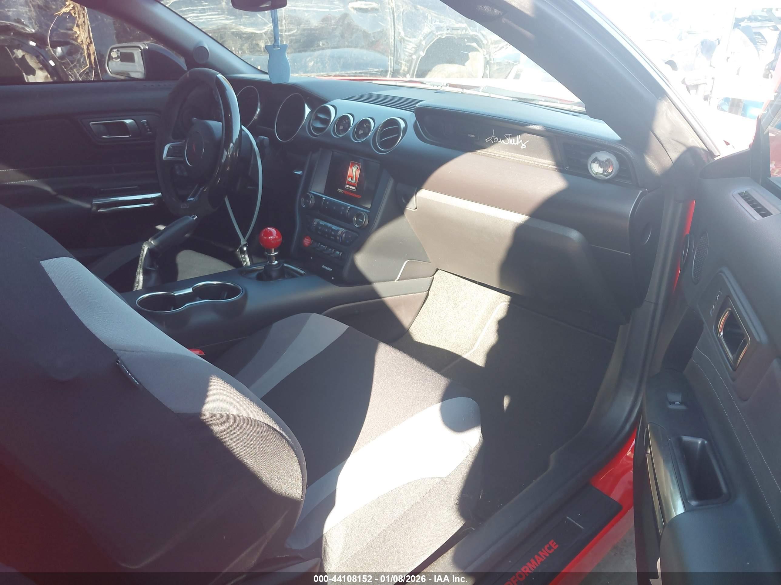 FORD SHELBY image 5