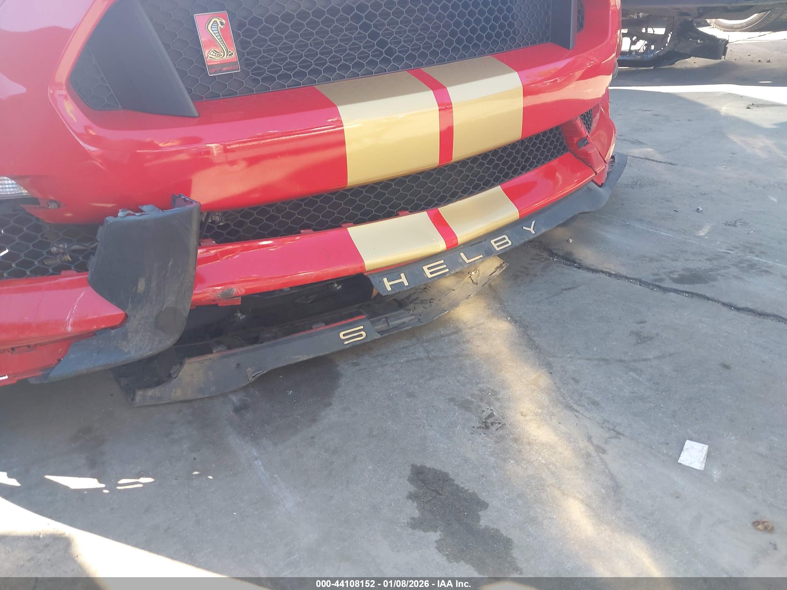 FORD SHELBY image 6