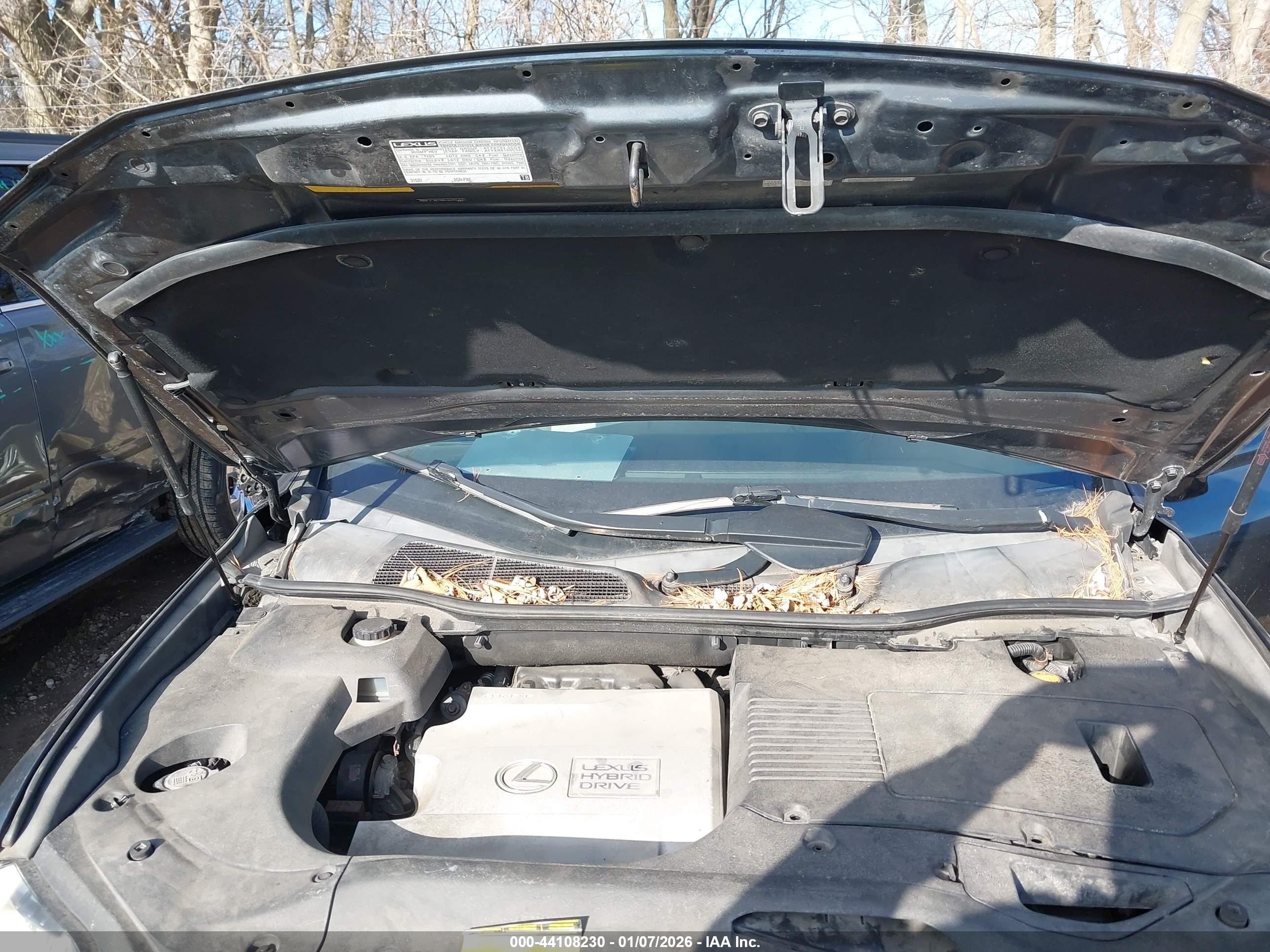 LEXUS RX image 10