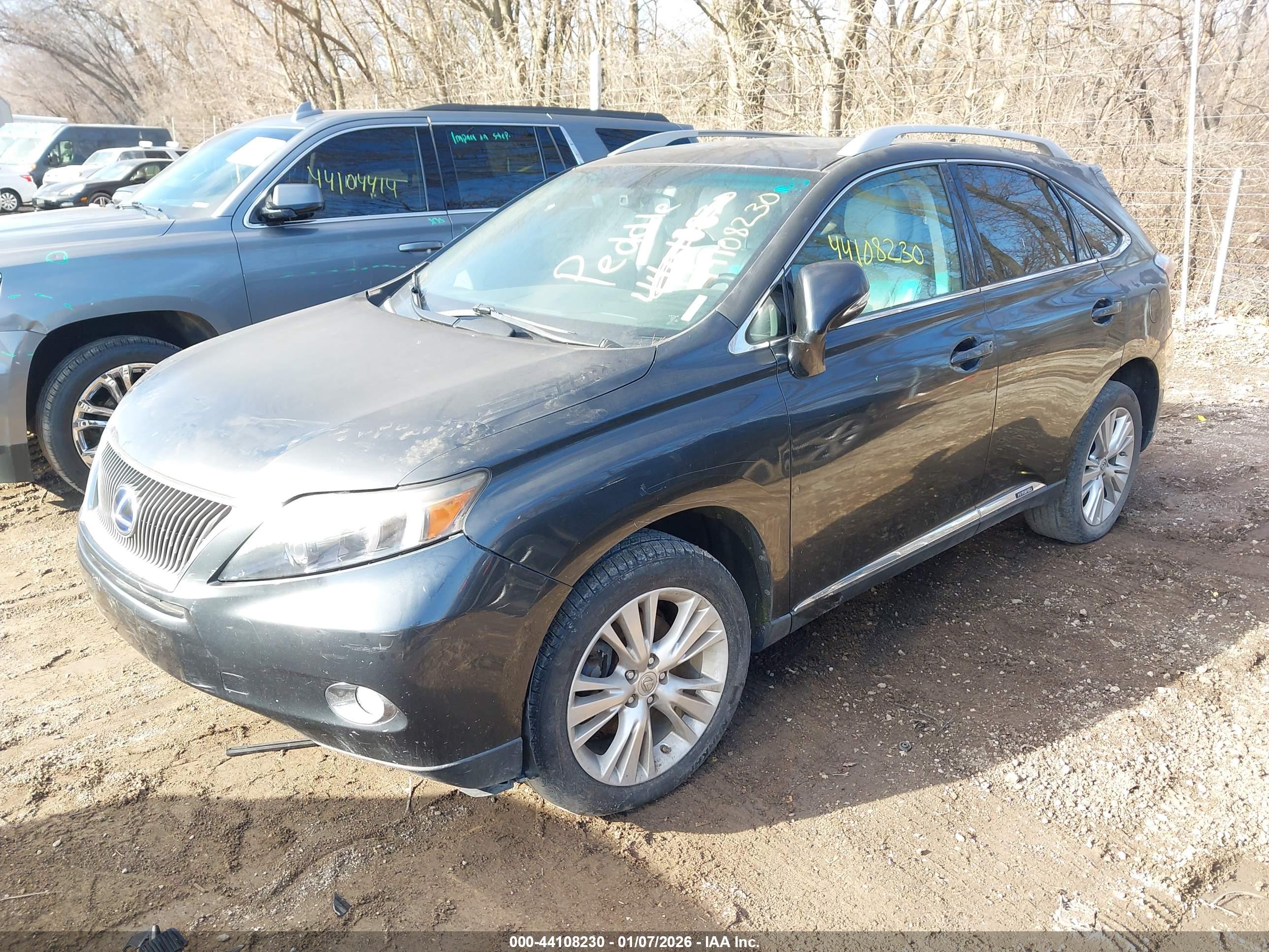 LEXUS RX image 2
