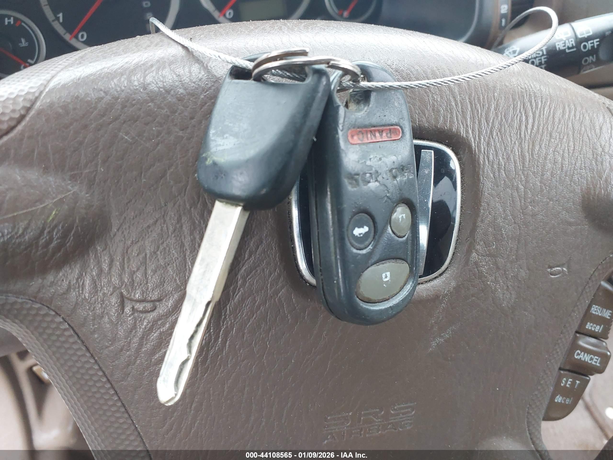 HONDA CR-V image 11