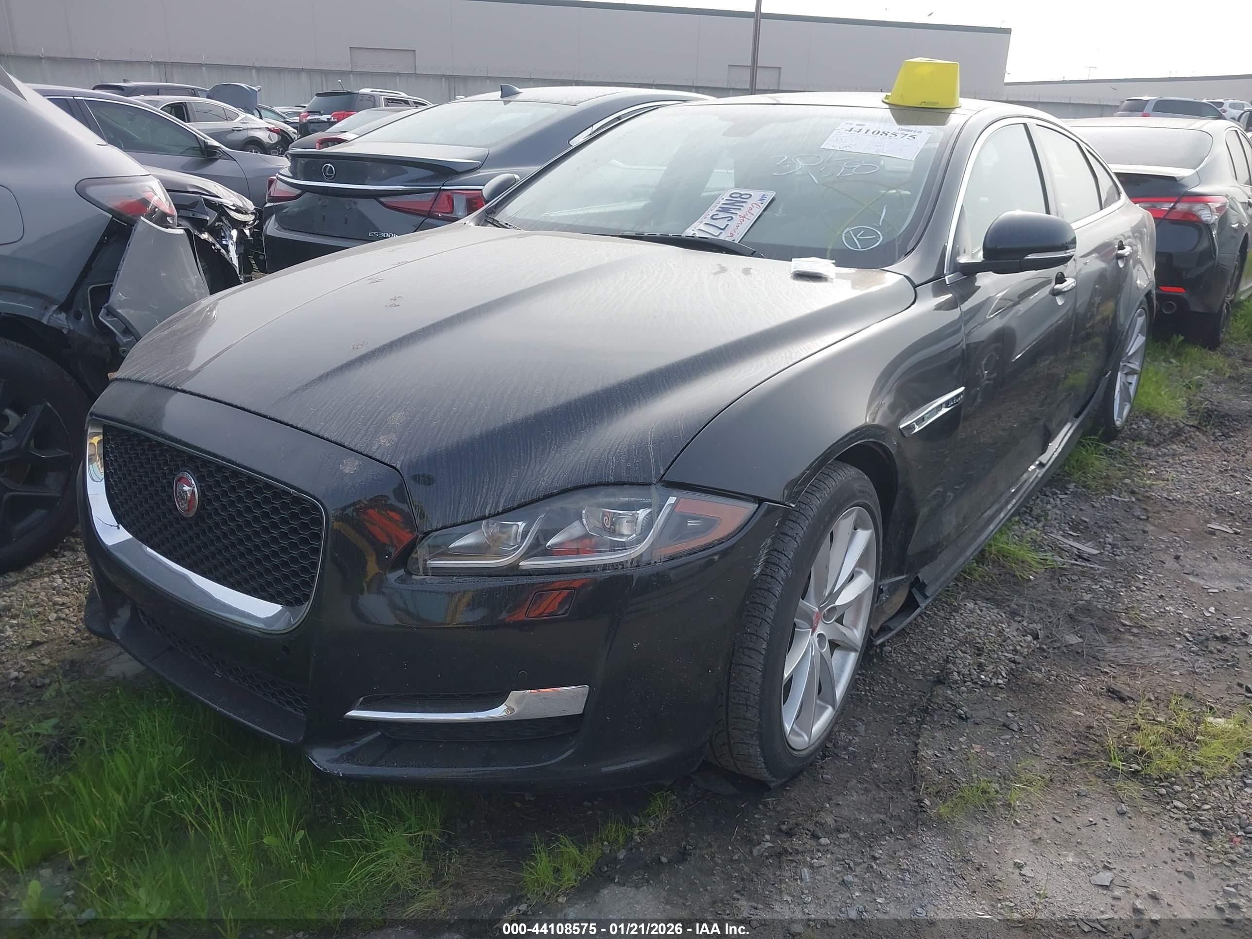 JAGUAR XJ image 2