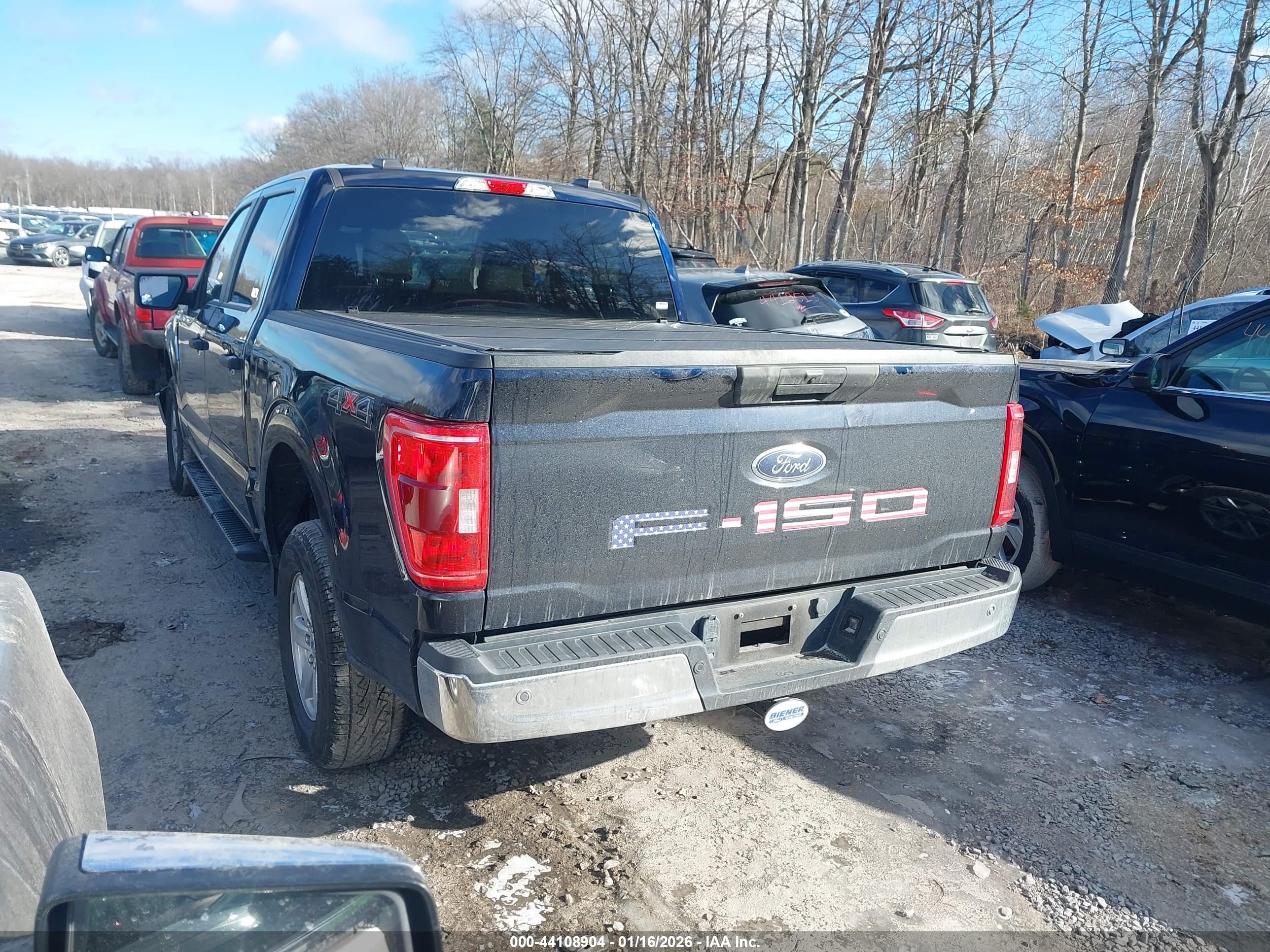 FORD F-150 image 3