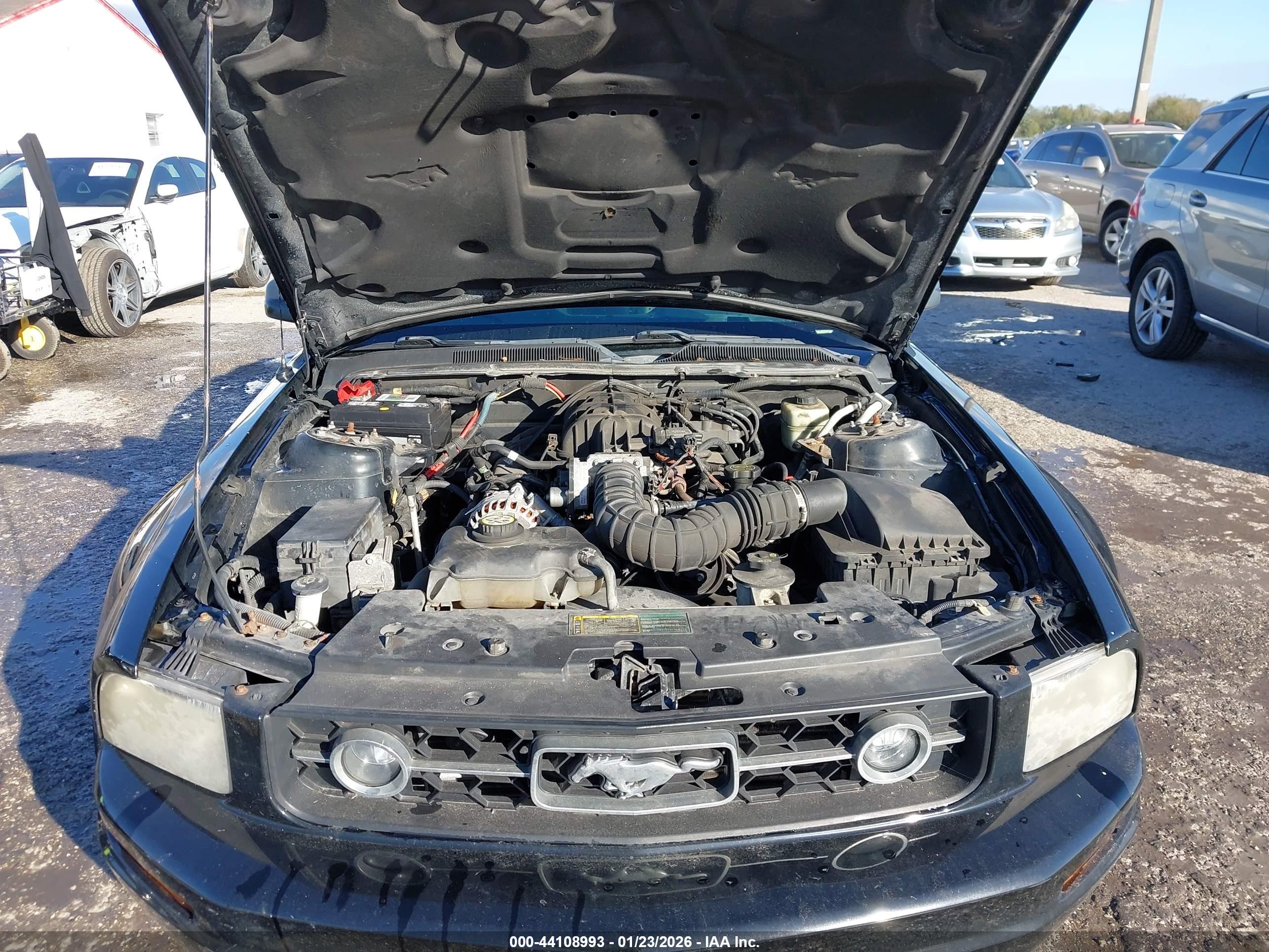 FORD MUSTANG image 10