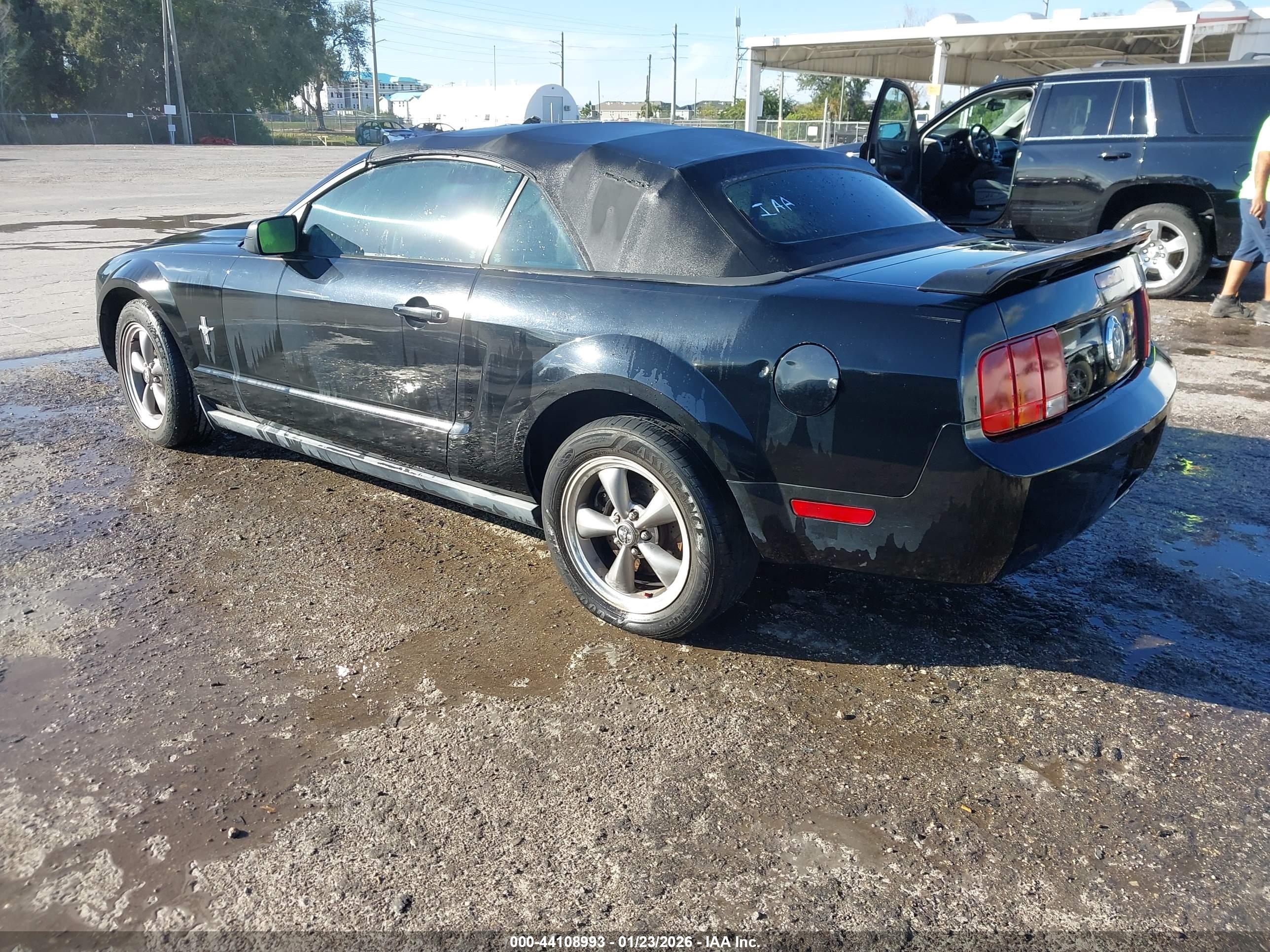 FORD MUSTANG image 3