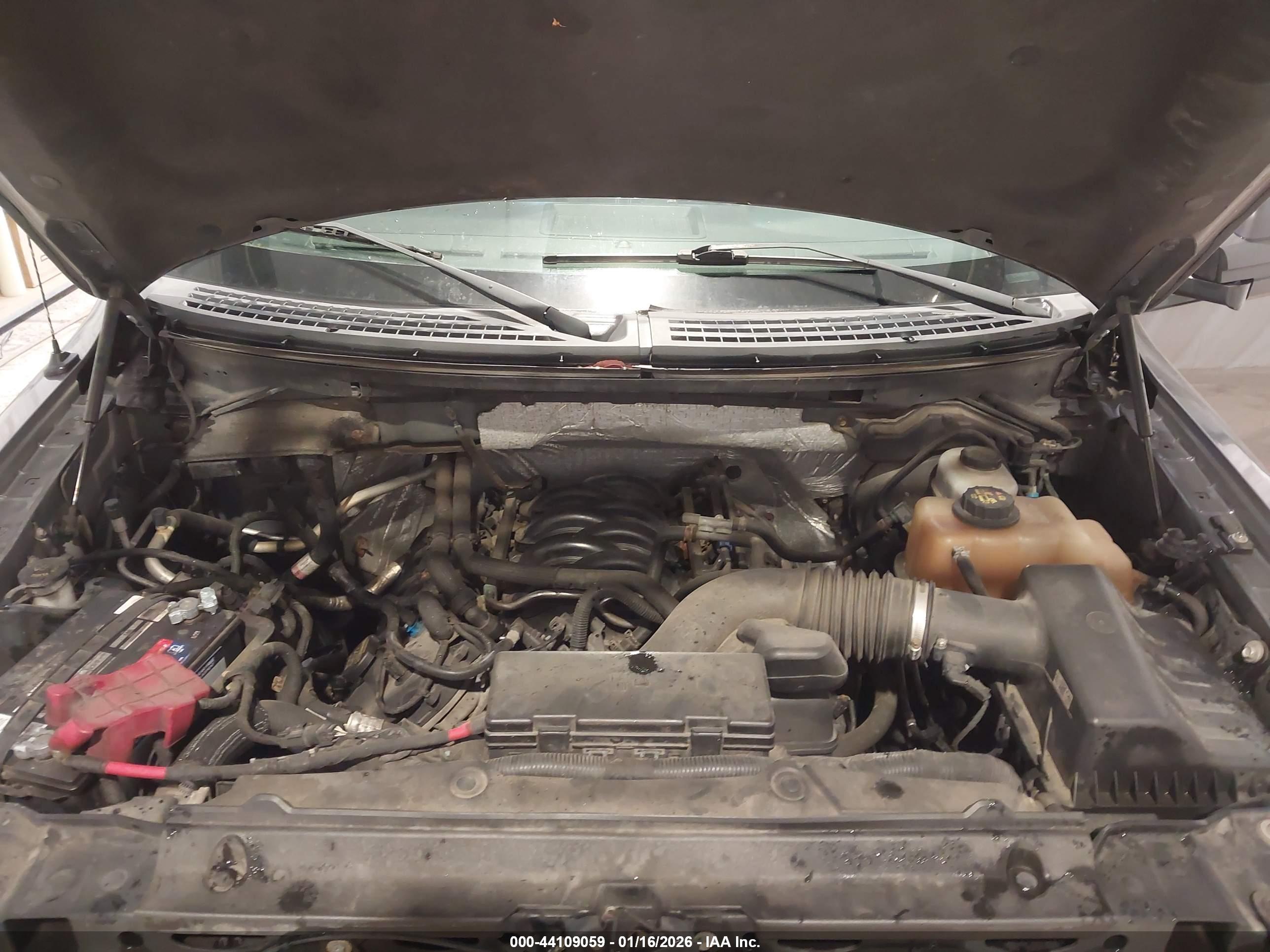 FORD F-150 image 10